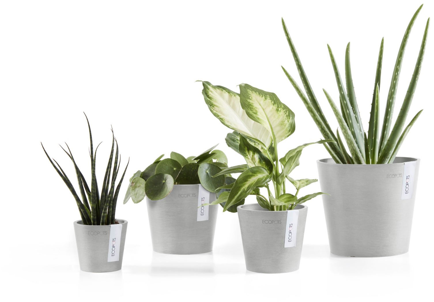 ECOPOTS Blumentopf »AMSTERDAM Mini White Grey« BxTxH: 8x8x7 cm