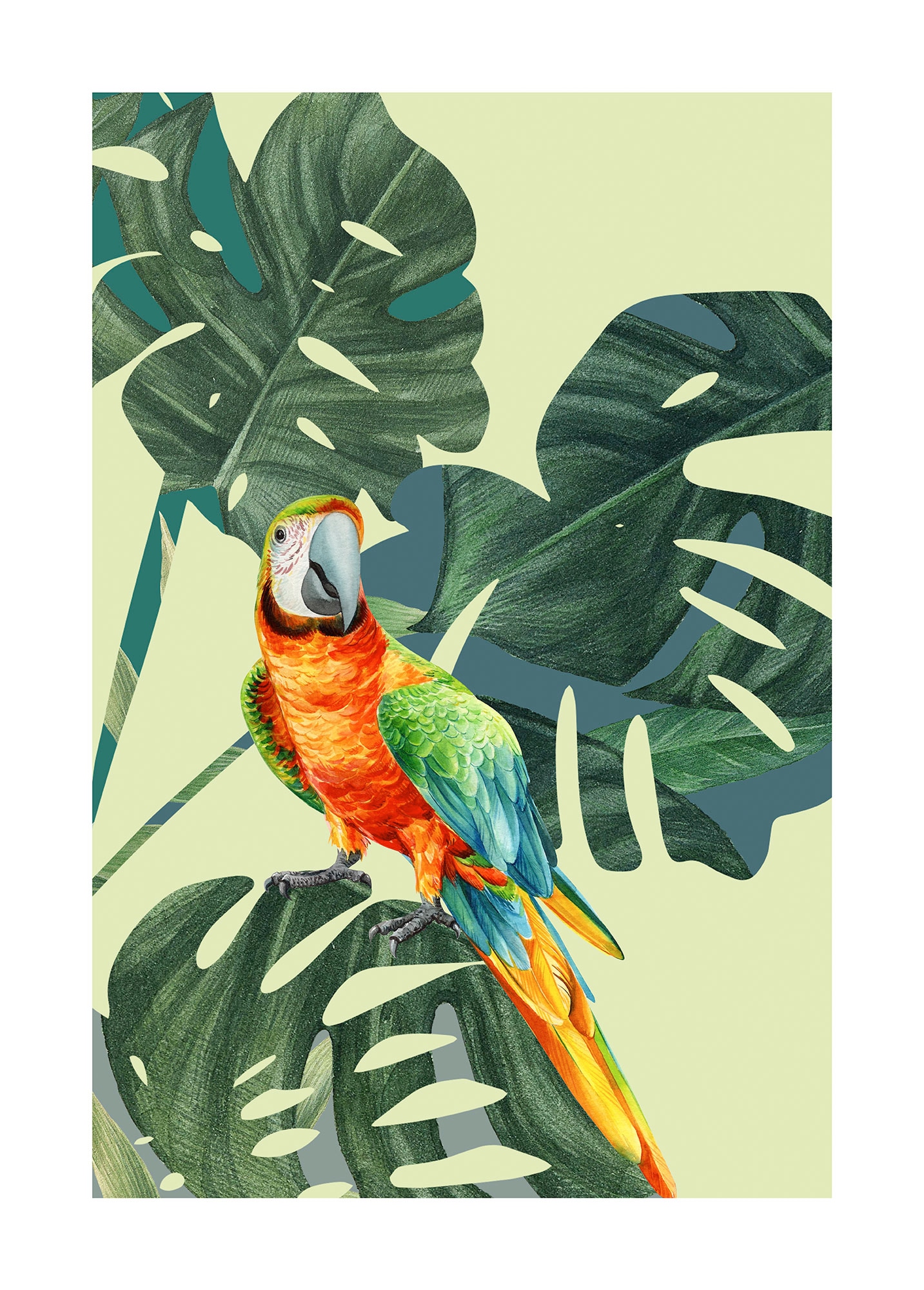 Komar Bild "Green-Winged Macaw" Natur 1 Stk. tlg. Wandbild zur Dekoration - günstig online kaufen