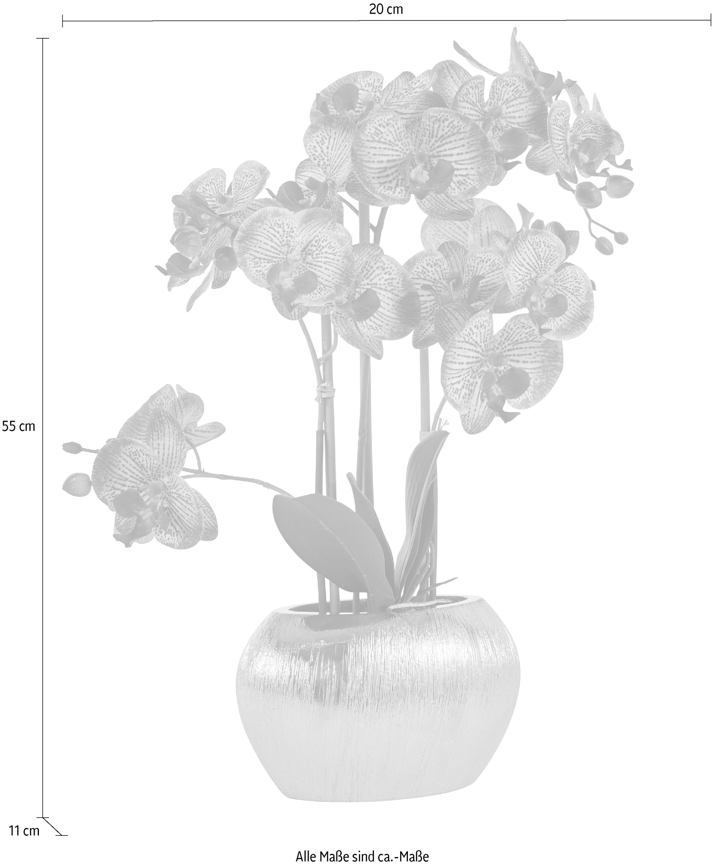 affaire BAUR Topf Home Kunstpflanze | »Orchidee«, im Kunstorchidee, bestellen