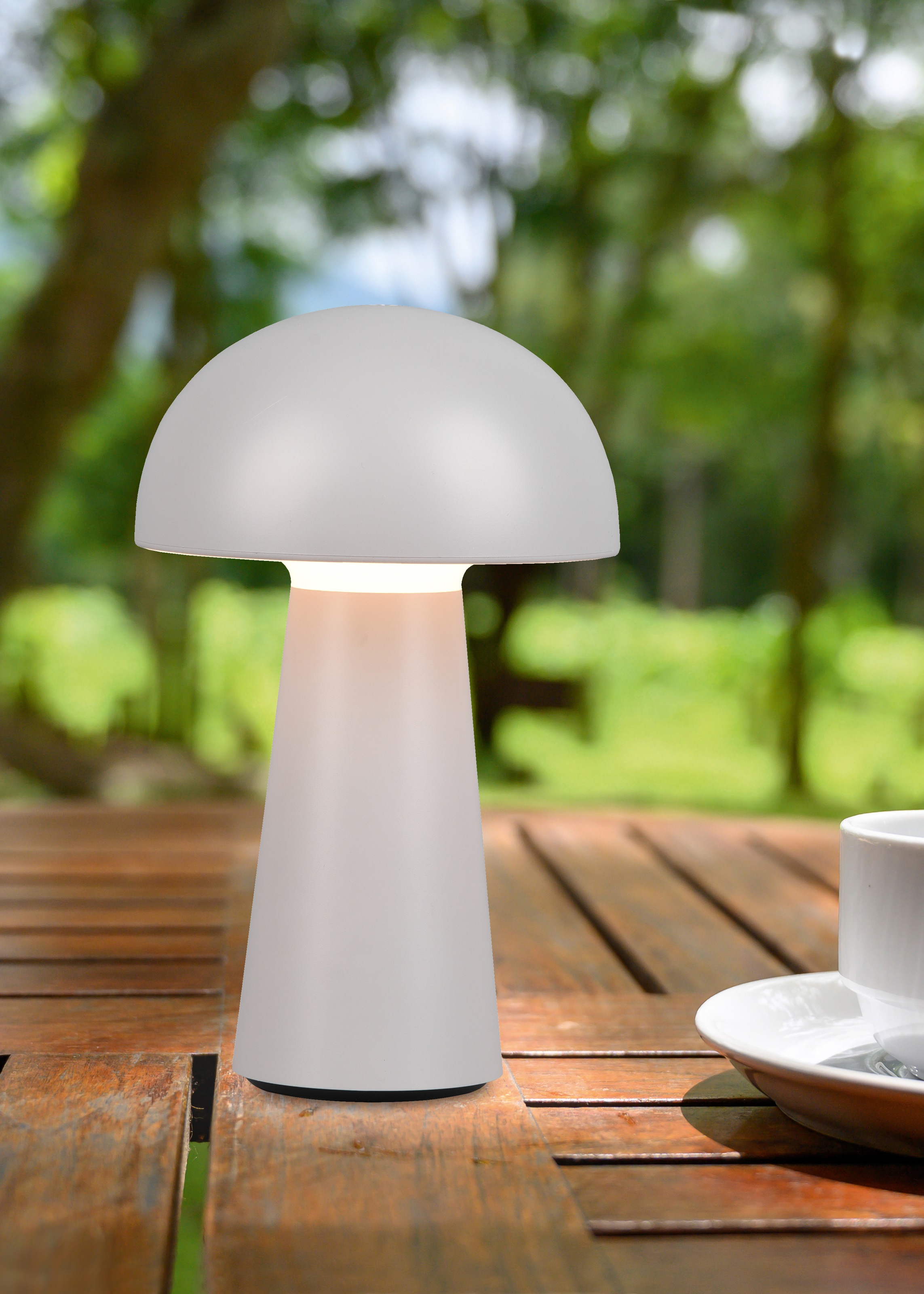 REALITY Leuchten LED Außen-Tischleuchte »Lennon«, 2-er Set, Schutzart IP44, LED fest integriert, 4-fach Touchdimmer, Ladefunktion per USB-C