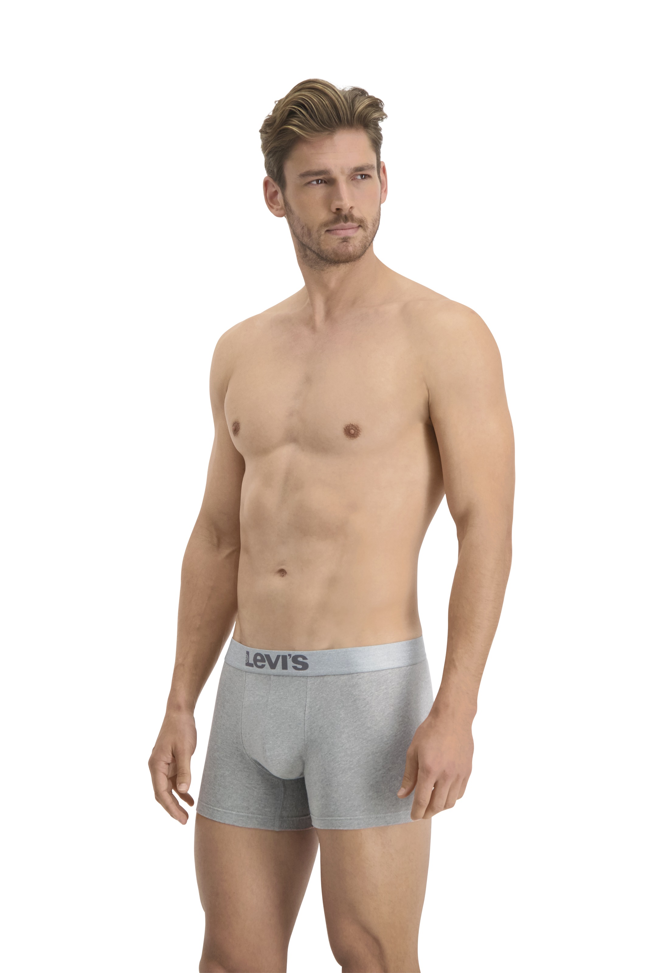 Levis Boxershorts "LEVIS MEN MEL WB BOXER BRIEF ORG CO 2P", (2er Pack), mit günstig online kaufen