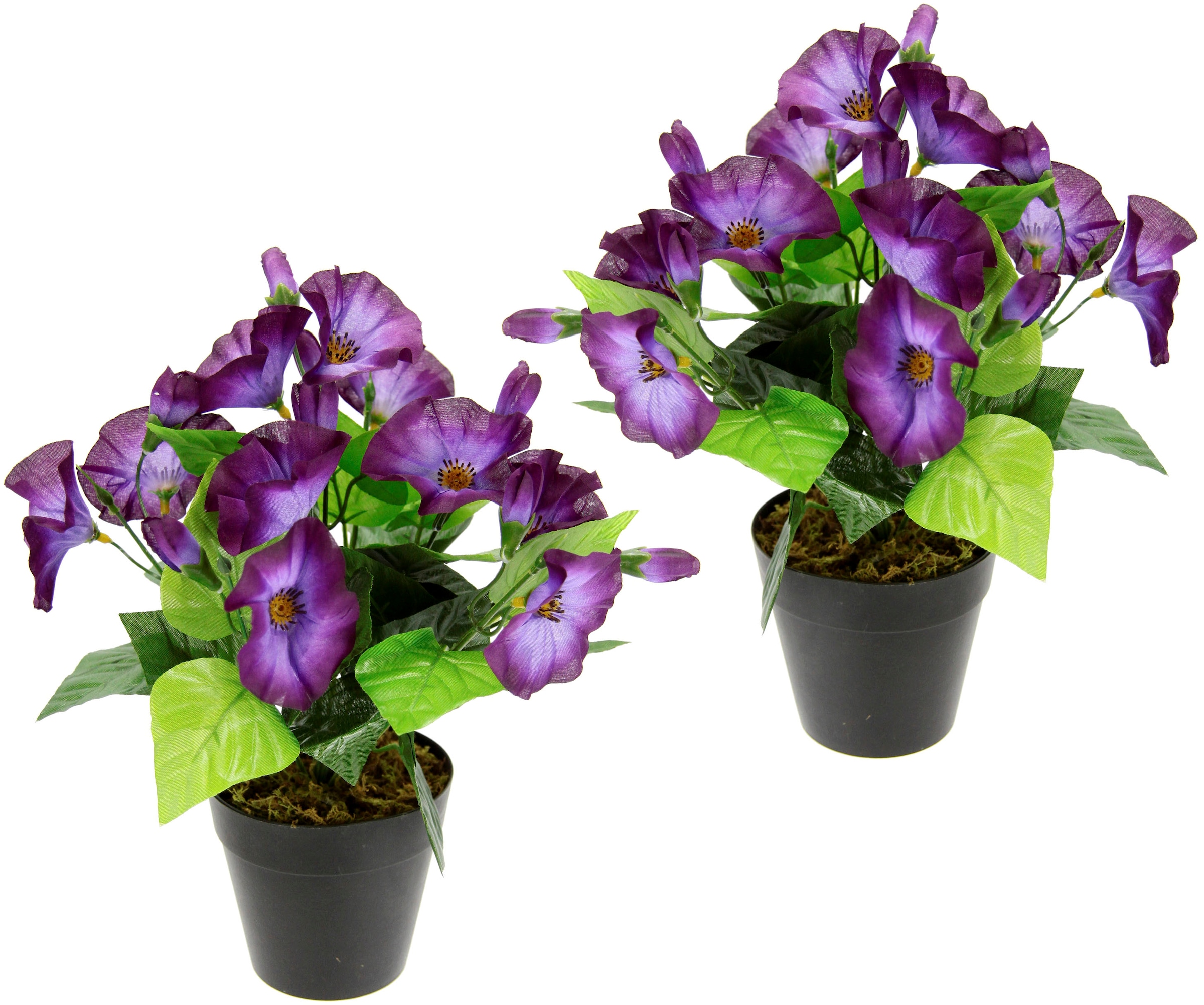 I.GE.A. Kunstblume »Petunien«, Im Topf, 2er Set Petunien Zierpflanze Glockenblume klein Blumen Deko