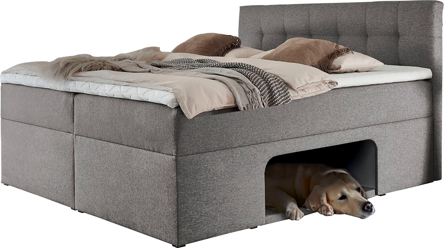 Places of Style Boxbett "Carolin", mit Nische inkl. gepolsterter Unterlage günstig online kaufen