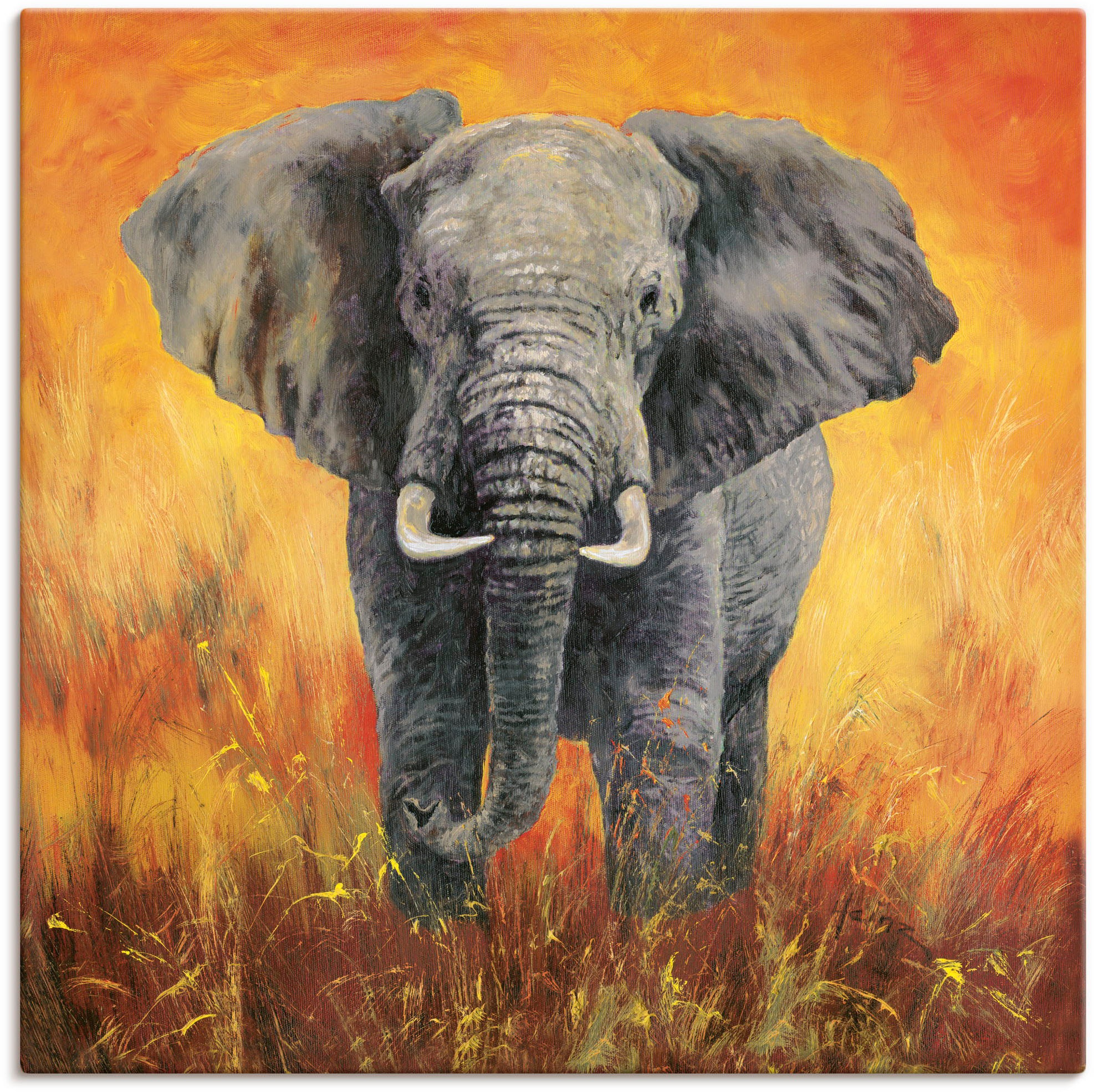 Artland Wandbild »Porträt Elefant«, Elefanten Bilder, (1 St.), als Alubild, Outdoorbild, Leinwandbild in verschied. Größen