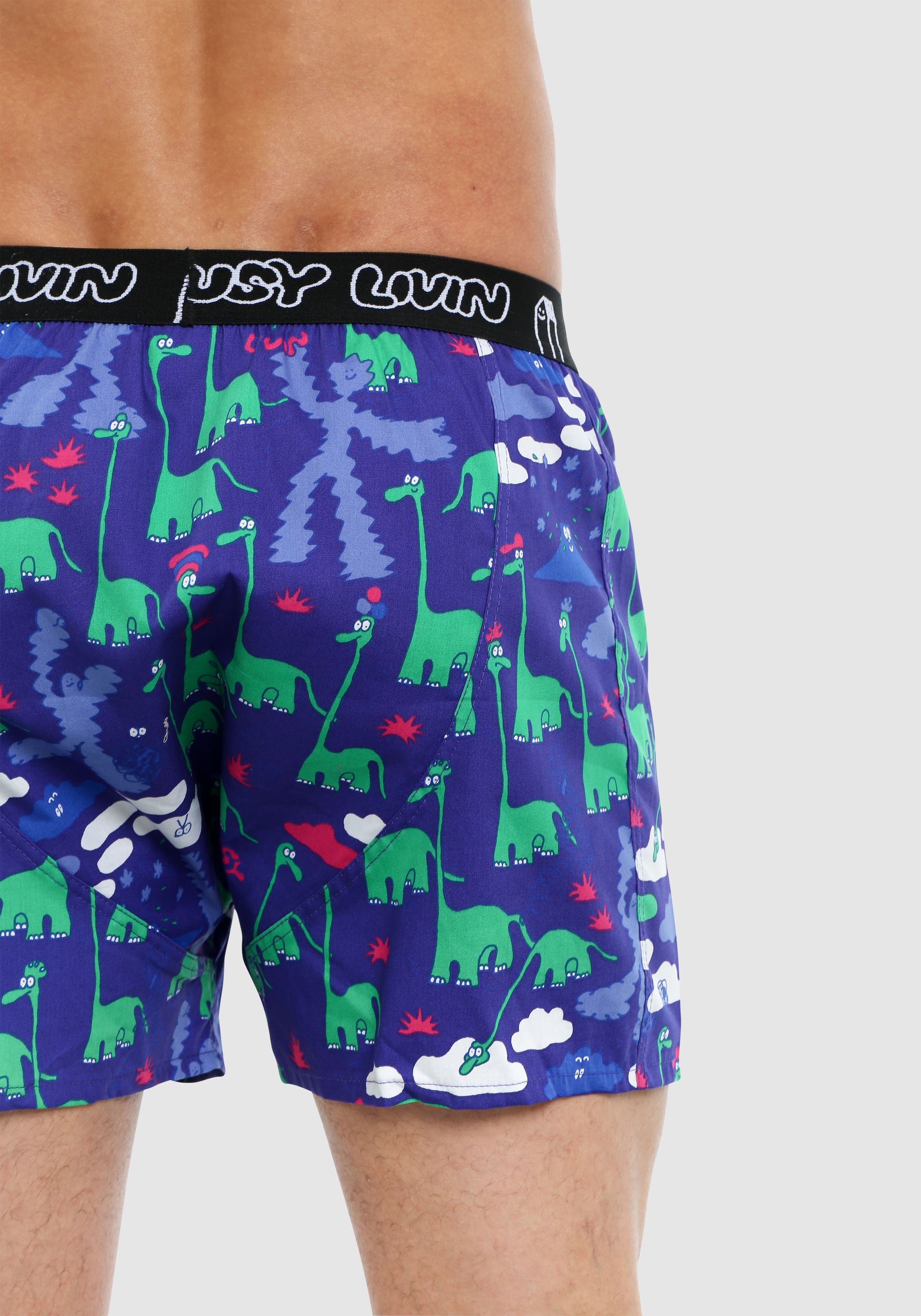 Lousy Livin Boxershorts »Dino 2 Pack«, (2 St.), mit amüsantem Allover-Muster