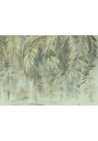 Komar Vliestapete »Palm Fronds« 350x250 cm (...