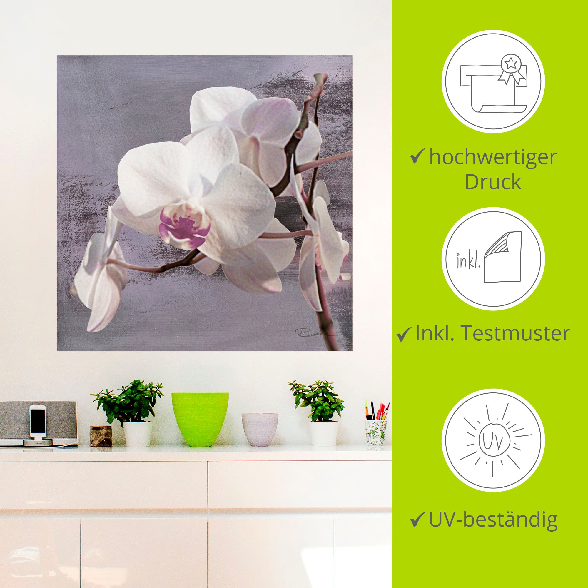 Artland Wandbild »Orchideen vor Violett I«, Blumen, (1 St.), als Alubild, Outdoorbild, Leinwandbild, Poster, Wandaufkleber