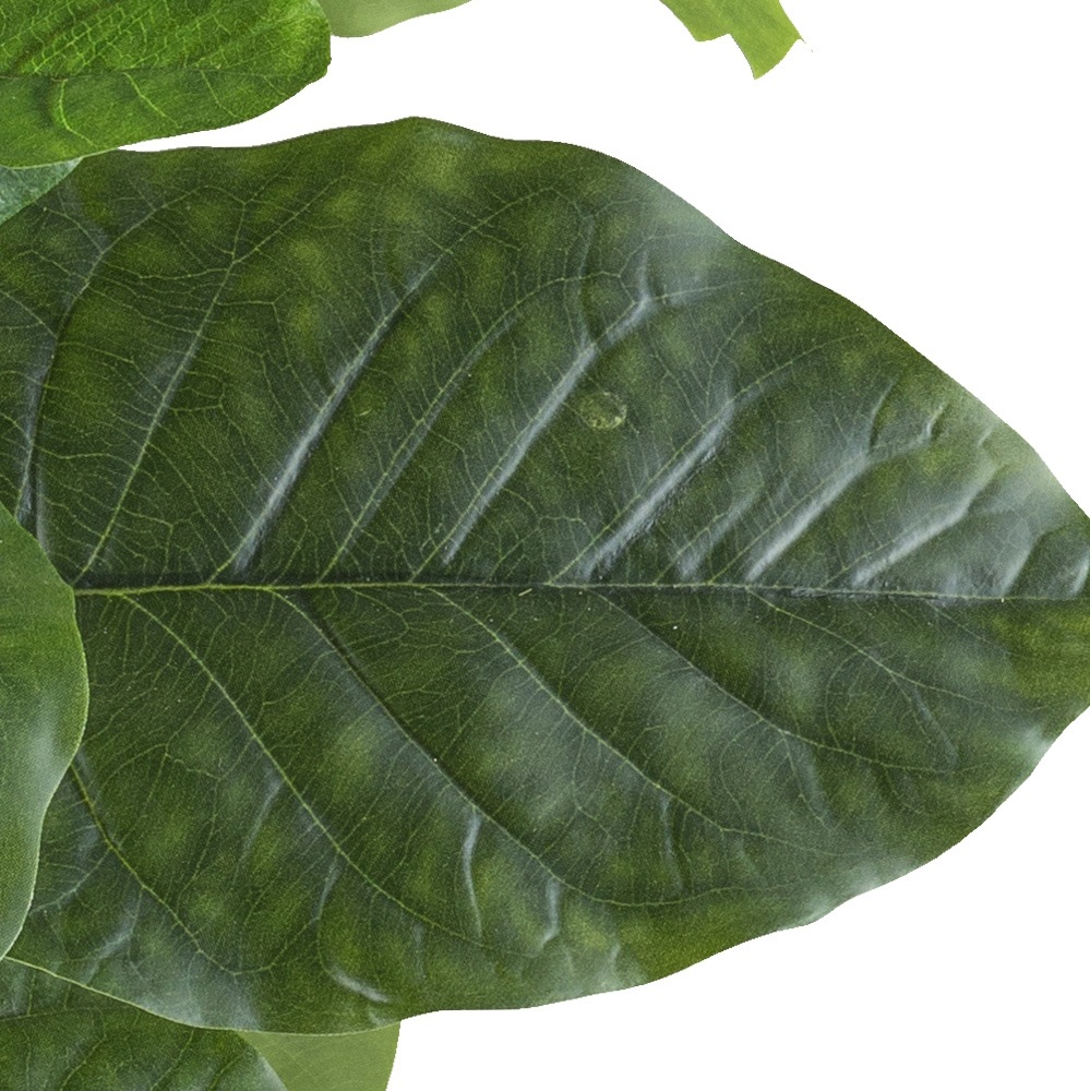 Creativ green Kunstpflanze »Ficus petiolaris«, mit großformatigen Blättern