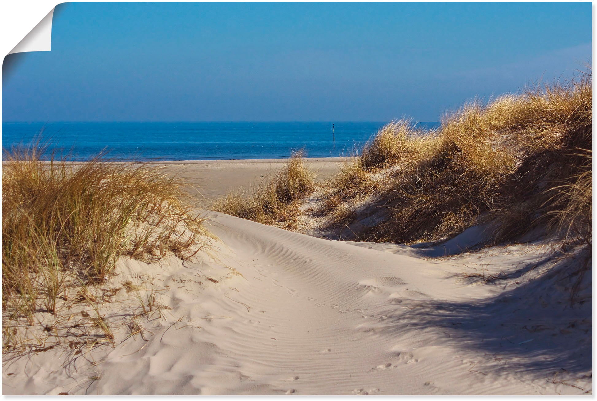 Artland Poster »Am Meer - Insel Amrum«, Strand, (1 St.), als Alubild, Leinwandbild, Wandaufkleber oder Poster in versch. Größen