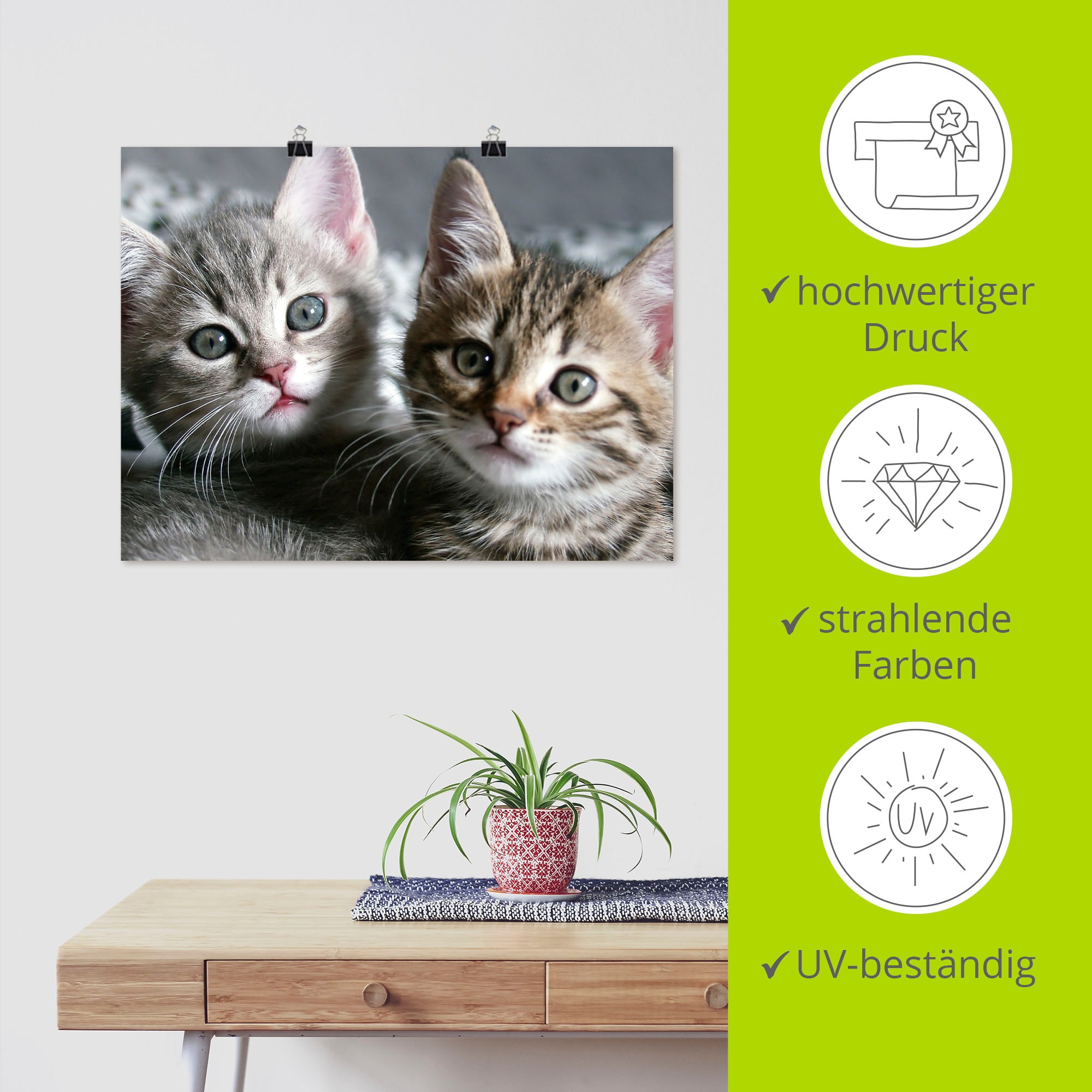 Artland Wandbild »Katze«, Haustiere, (1 St.), als Alubild, Outdoorbild, Leinwandbild, Poster, Wandaufkleber