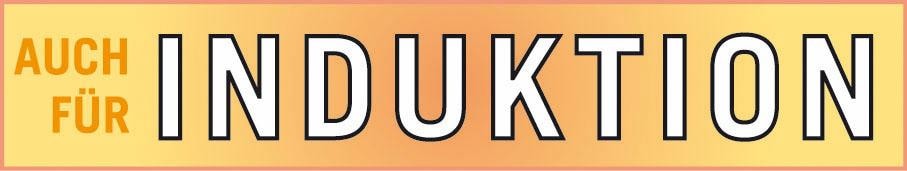 GSW Topf-Set »Profi-Black-Star« Set, 1x Stielkasserolle 16 cm, je 1x Fleischtopf 16/20/24 cm, 7 Stk. tlg. Stahl-Emaille