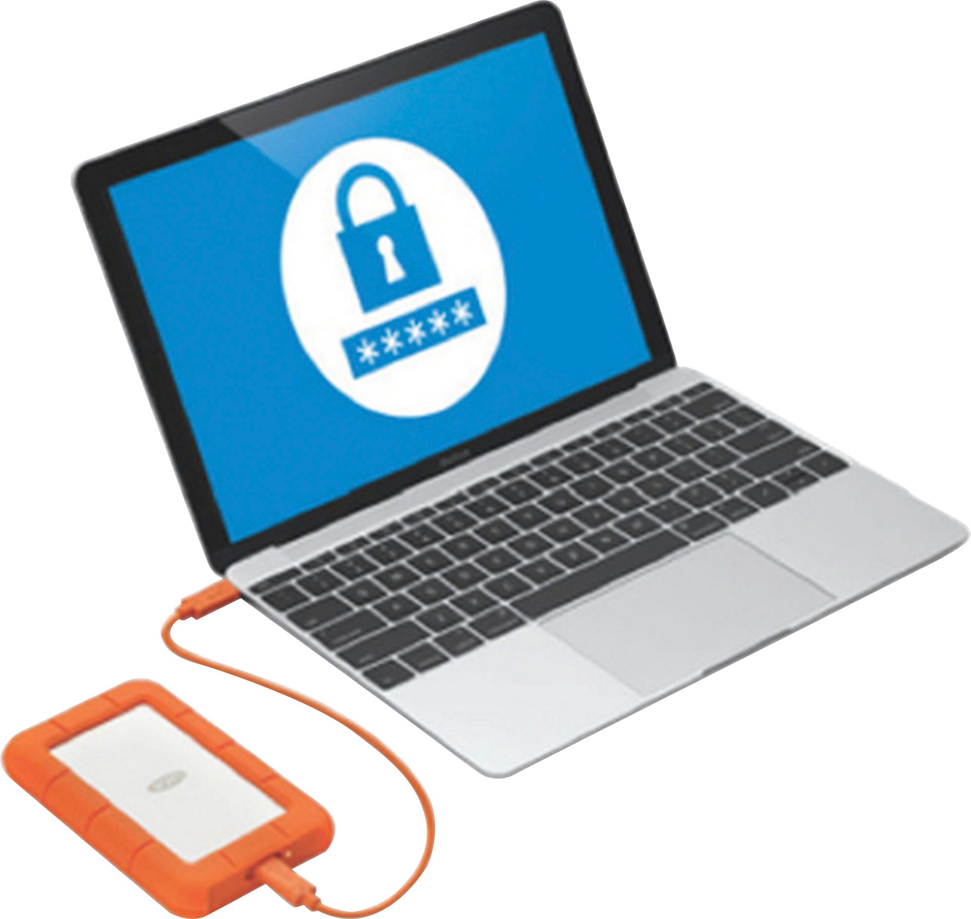 LaCie externe HDD-Festplatte »Rugged Secure«, 2,5 Zoll, Anschluss USB 3.0-Thunderbolt 3