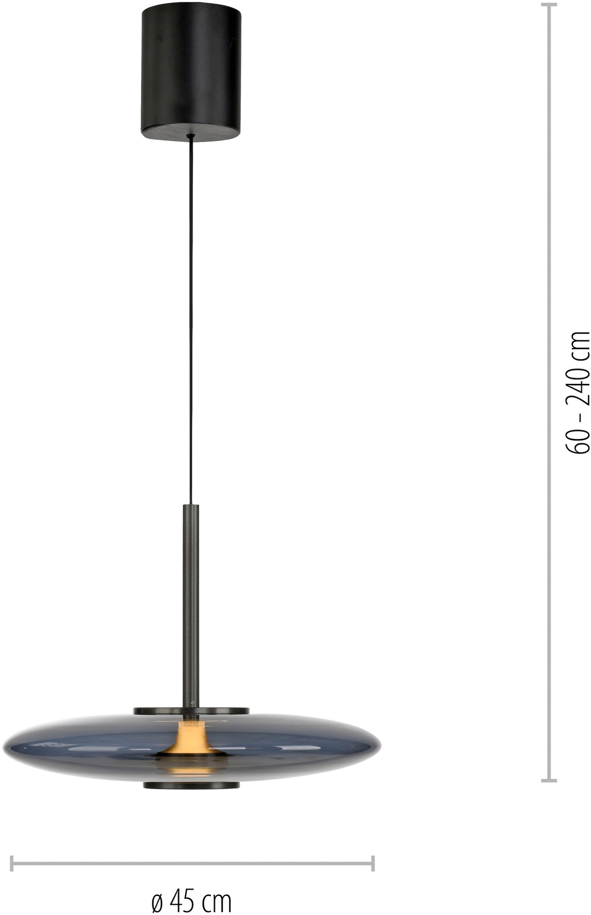 Neuhaus PURE LED Pendelleuchte »PURE E-Vitrum« LED-Board 1 Stk. warmweiß - kaltweiß e-LIFT®-Funktion, CCT, dimmbar über Fernbedíenung