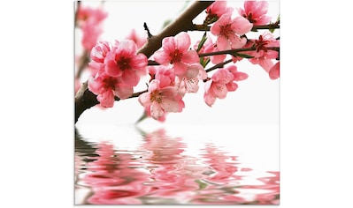 Glasbild »Pfirsichblüten reflektieren im Wasser«, Blumen, (1 St.)