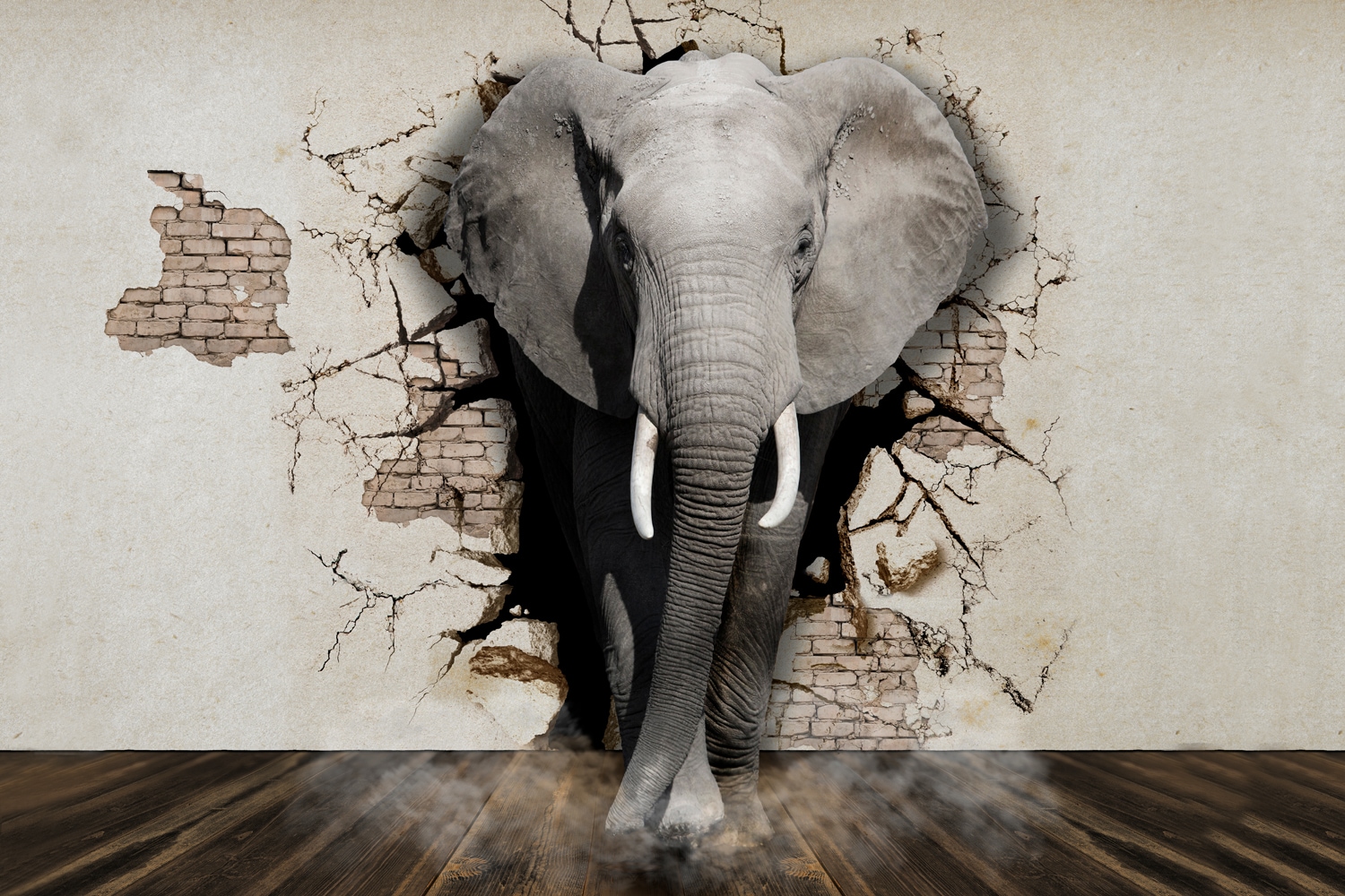 queence Wandsticker »Elefant«, (1 St.), Selbstklebend, kinderleichte Anbringung