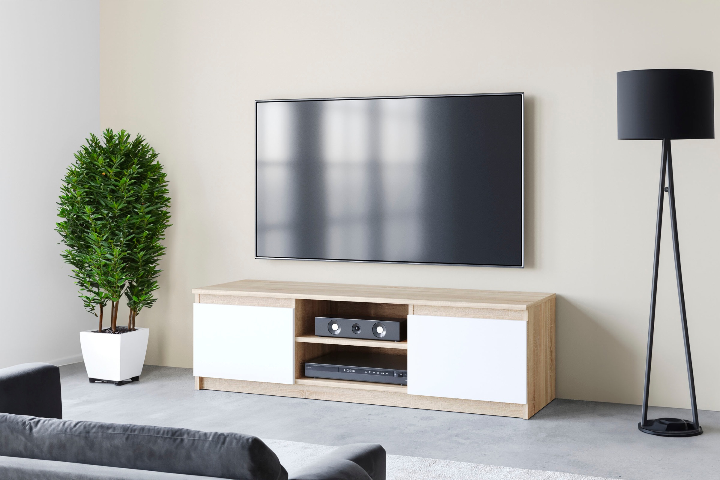 Home affaire Lowboard "DINGO" zeitloser TV-Schrank, TV-Board Breite 120 cm, grifflose Fernsehschrank