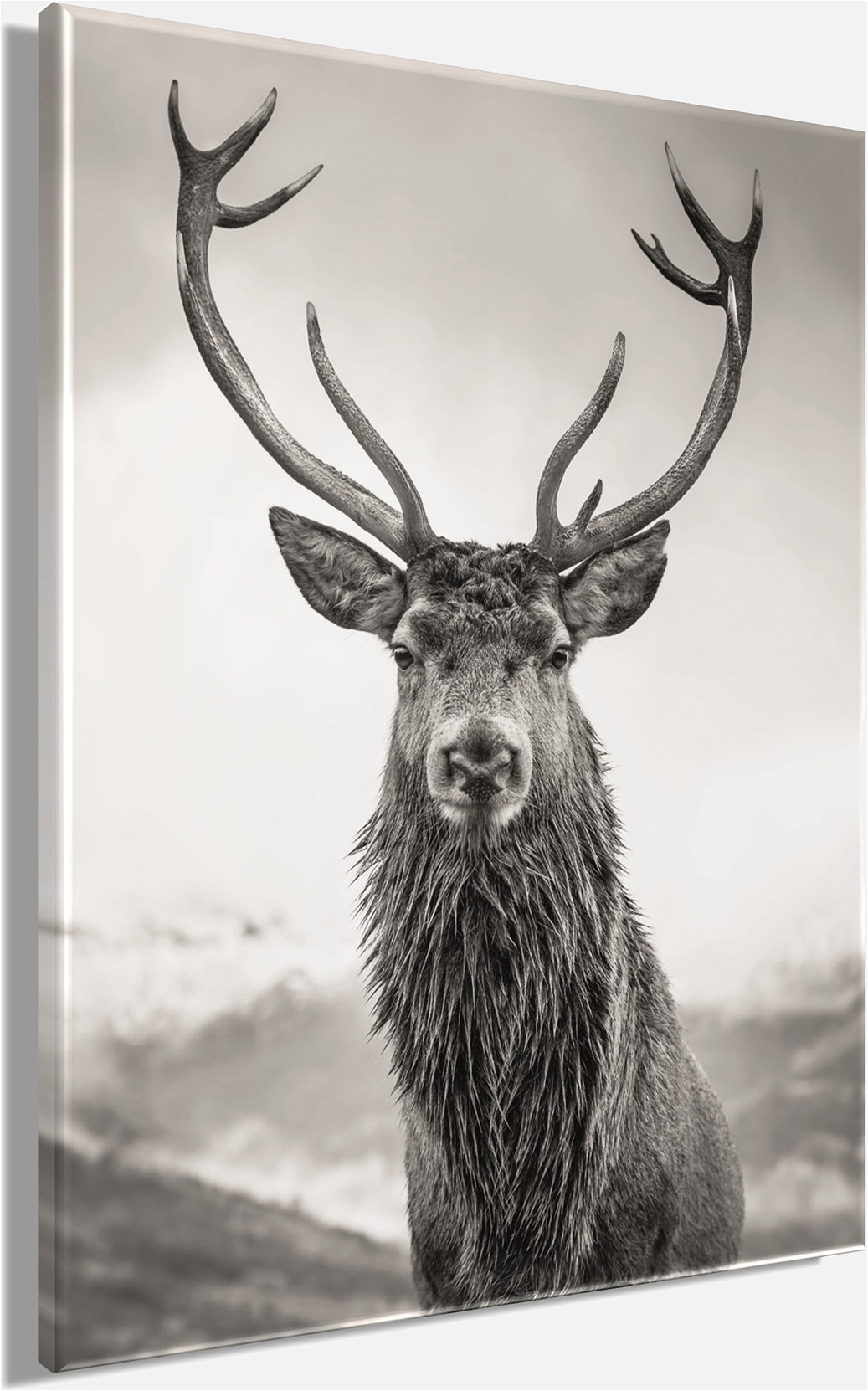 Bönninghoff Leinwandbild »Wandbild HIRSCH 46x61 cm – Leinwandbild Keilrahmen Deko modern« Hirsch 1 Stk. tlg. auf Keilrahmen gespannt