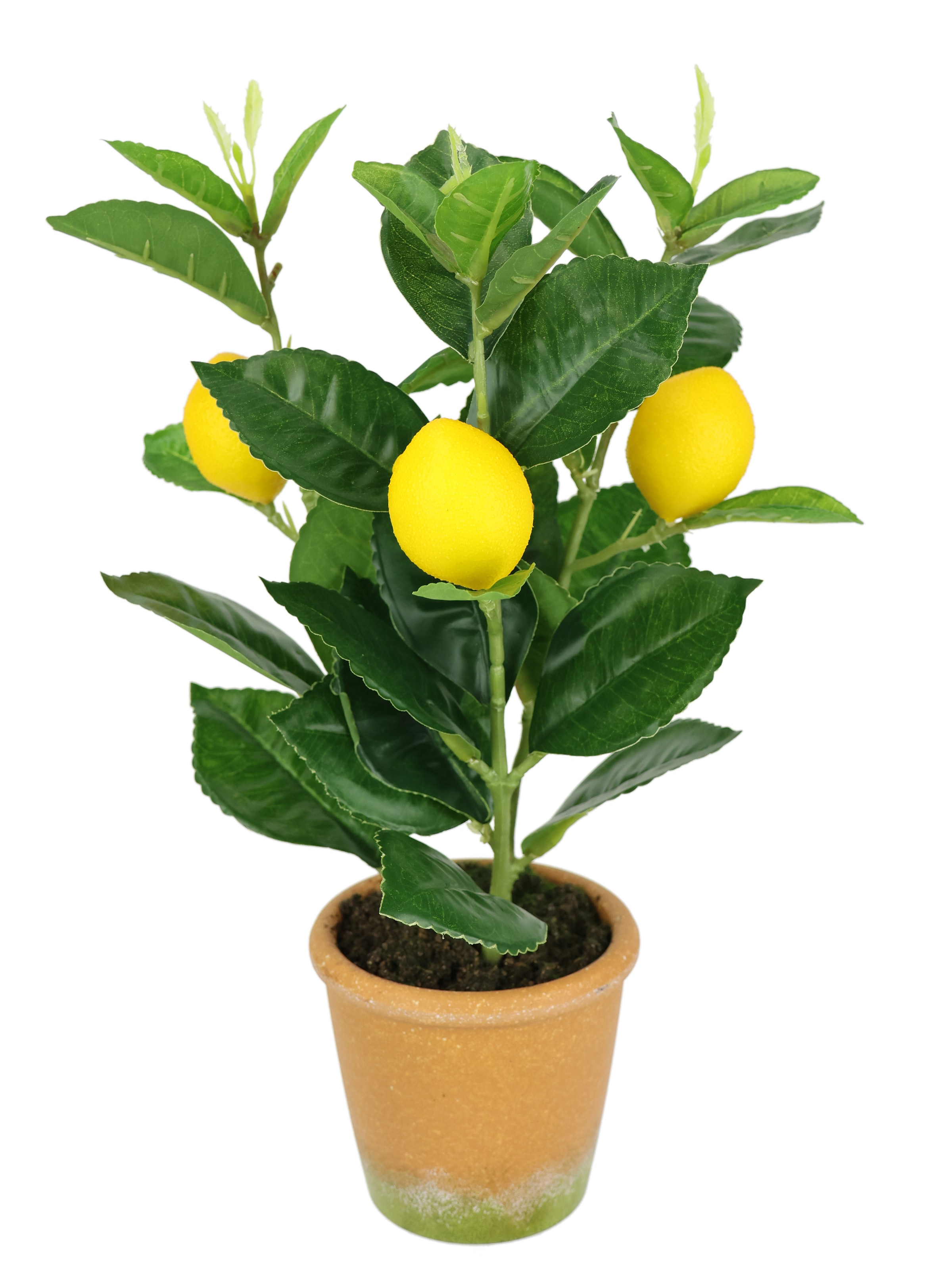 I.GE.A. Kunstpflanze »Künstlicher Mini-Zitronenbaum«, Lebensechter Kunstbaum Baum Dekoration Obstbaum Pflanze