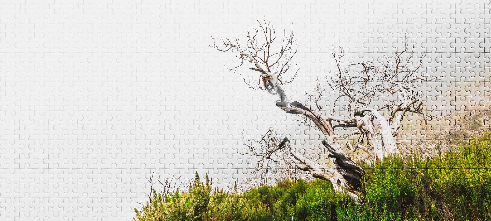Architects Paper 1100000002199 "Atelier 47 Death Tree Puzzle 2" Wald glatt Vlies, Wand, Schräge, Decke