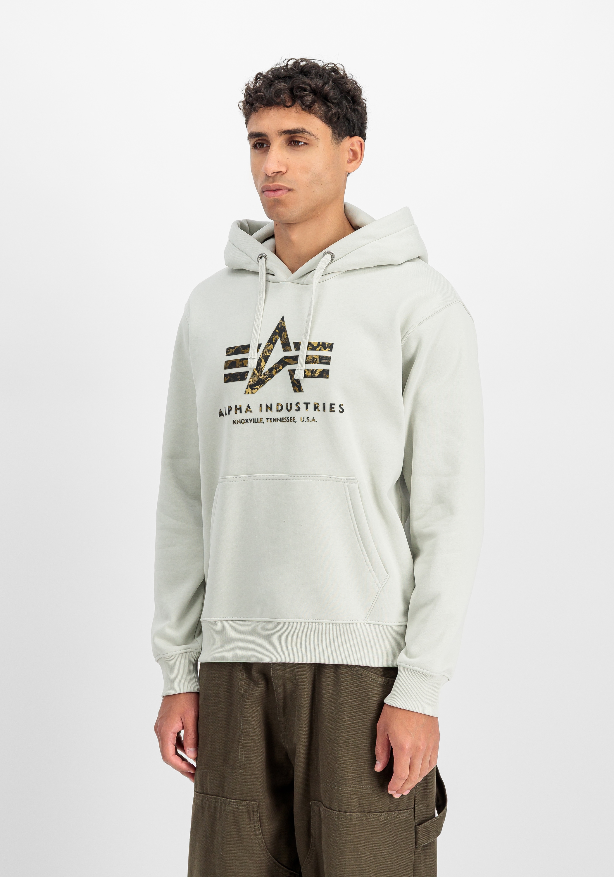Alpha Industries Hoodie »Basic Hoodie BL Effect Print«
