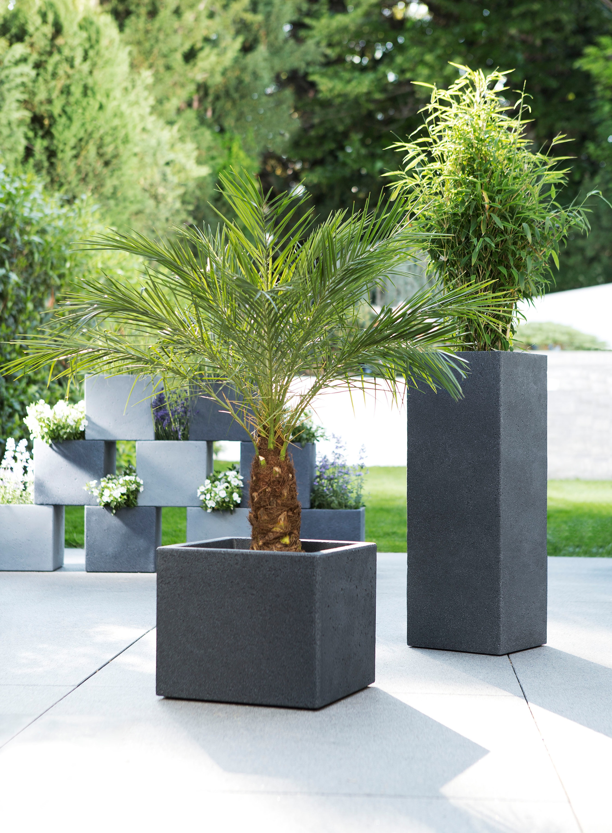 Scheurich Blumentopf »70/240 C-CUBE HIGH«