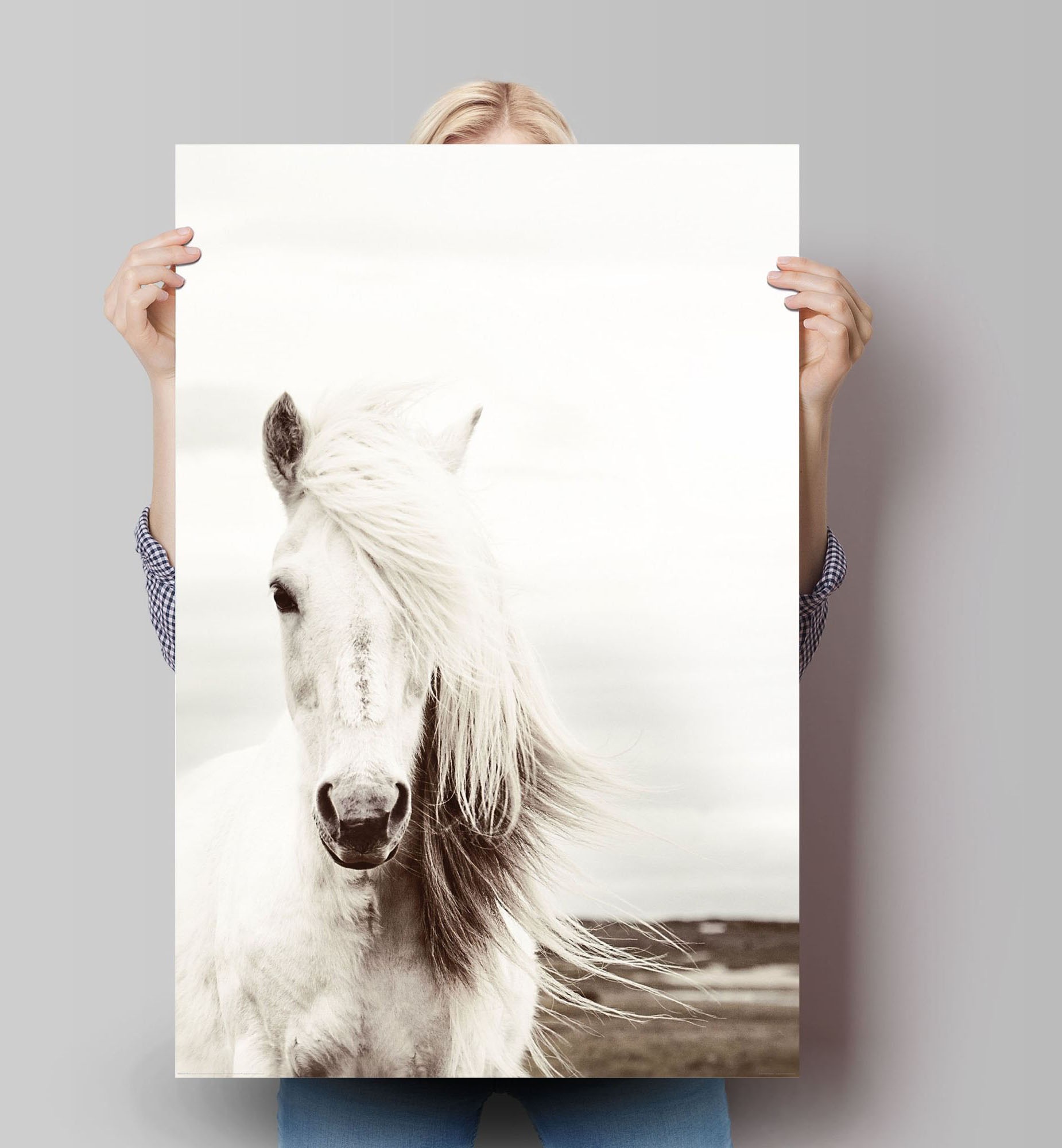 Reinders Poster "Poster Weißes Pferd", Pferde, (1 St.) günstig online kaufen