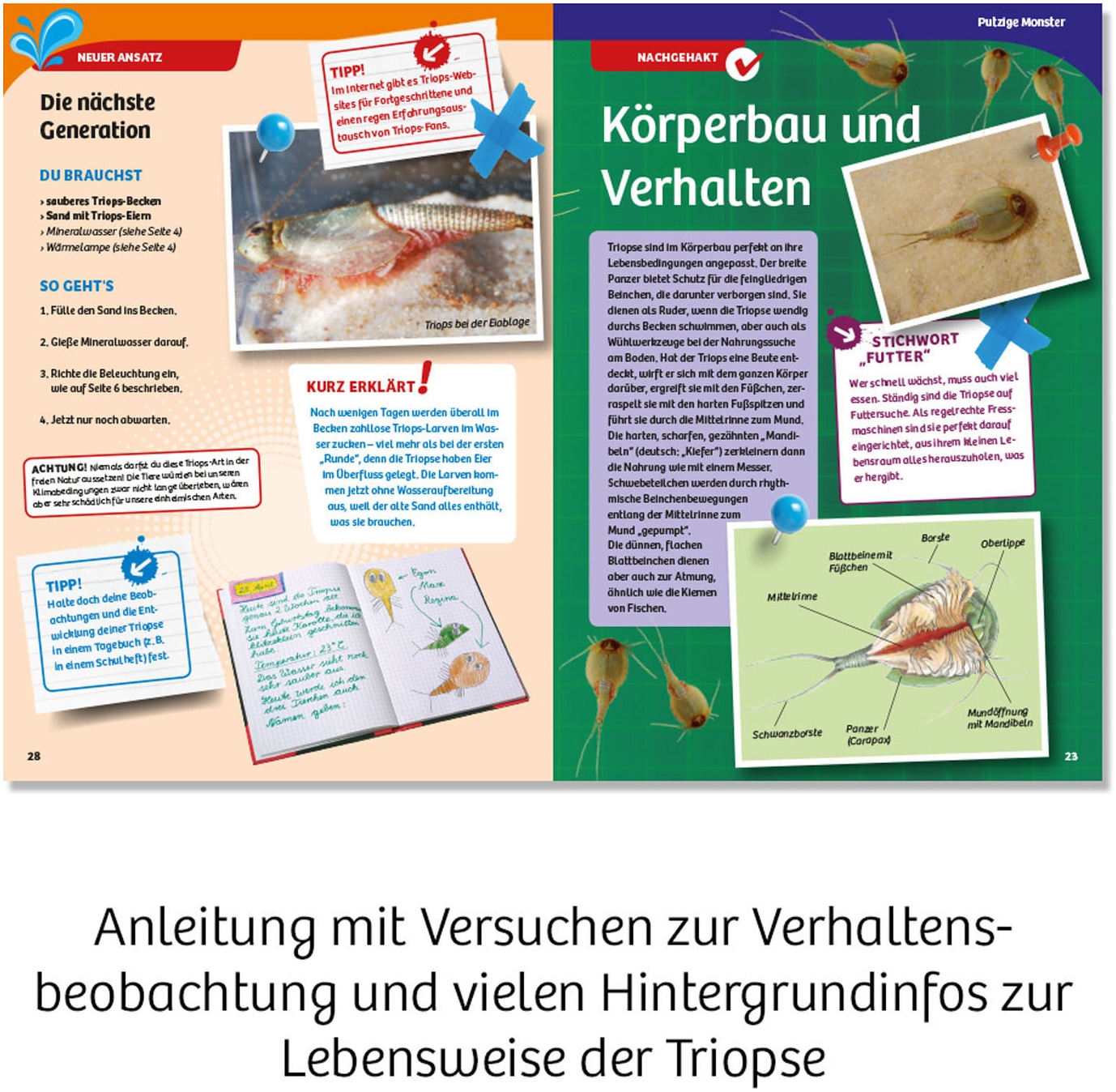 Kosmos Experimentierkasten »Triops-Welt« Made in Germany