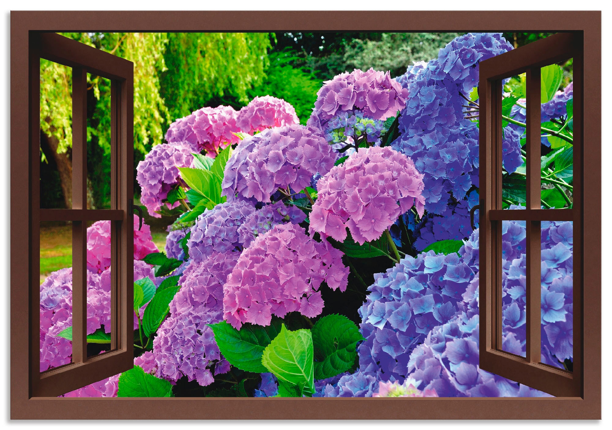 | in Garten«, St.), (1 Blumen, bestellen als im Wandbild Poster BAUR Hortensien Wandaufkleber Alubild, Größen »Fensterblick oder versch. Artland Leinwandbild, -