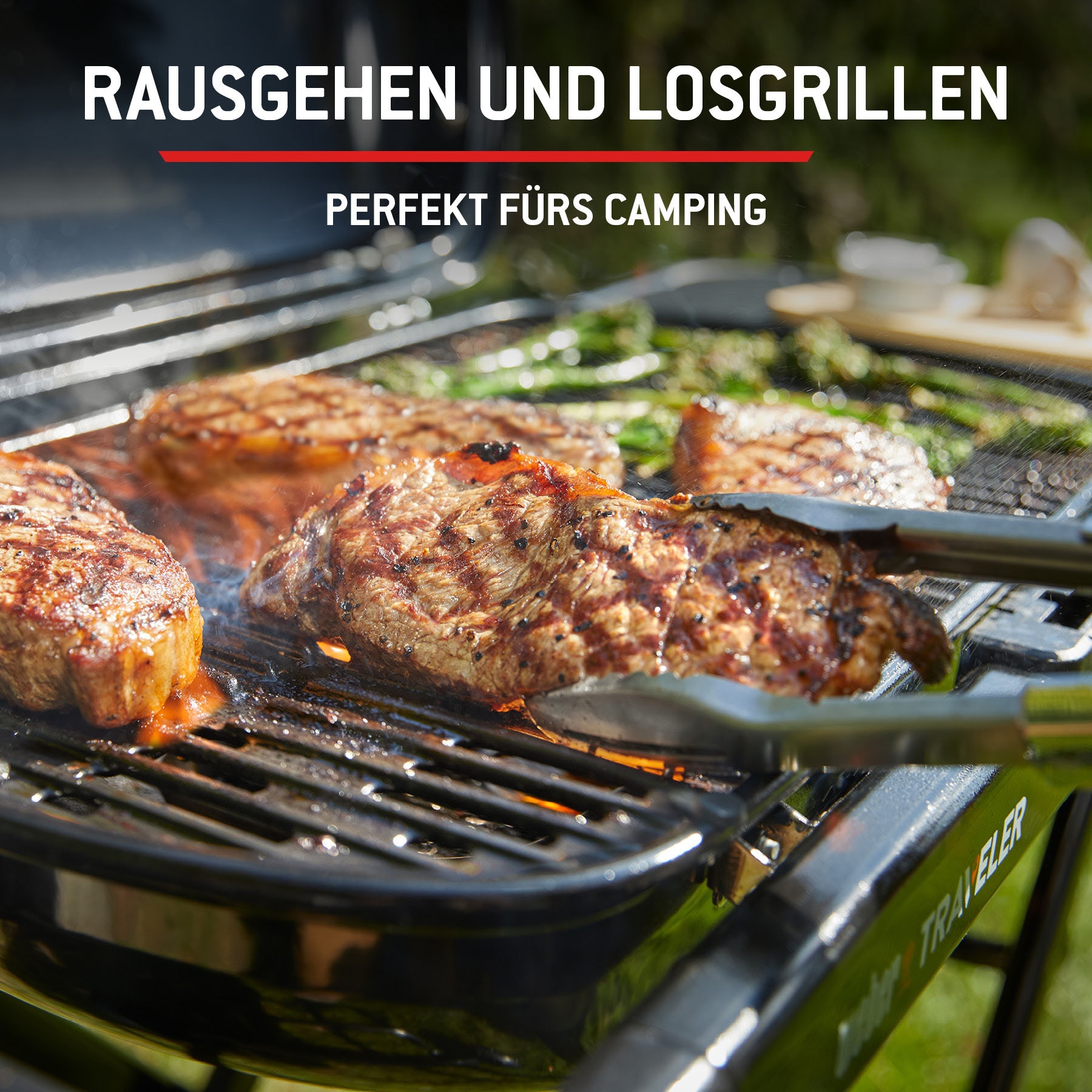 Weber Camping-Gasgrill »Traveler«