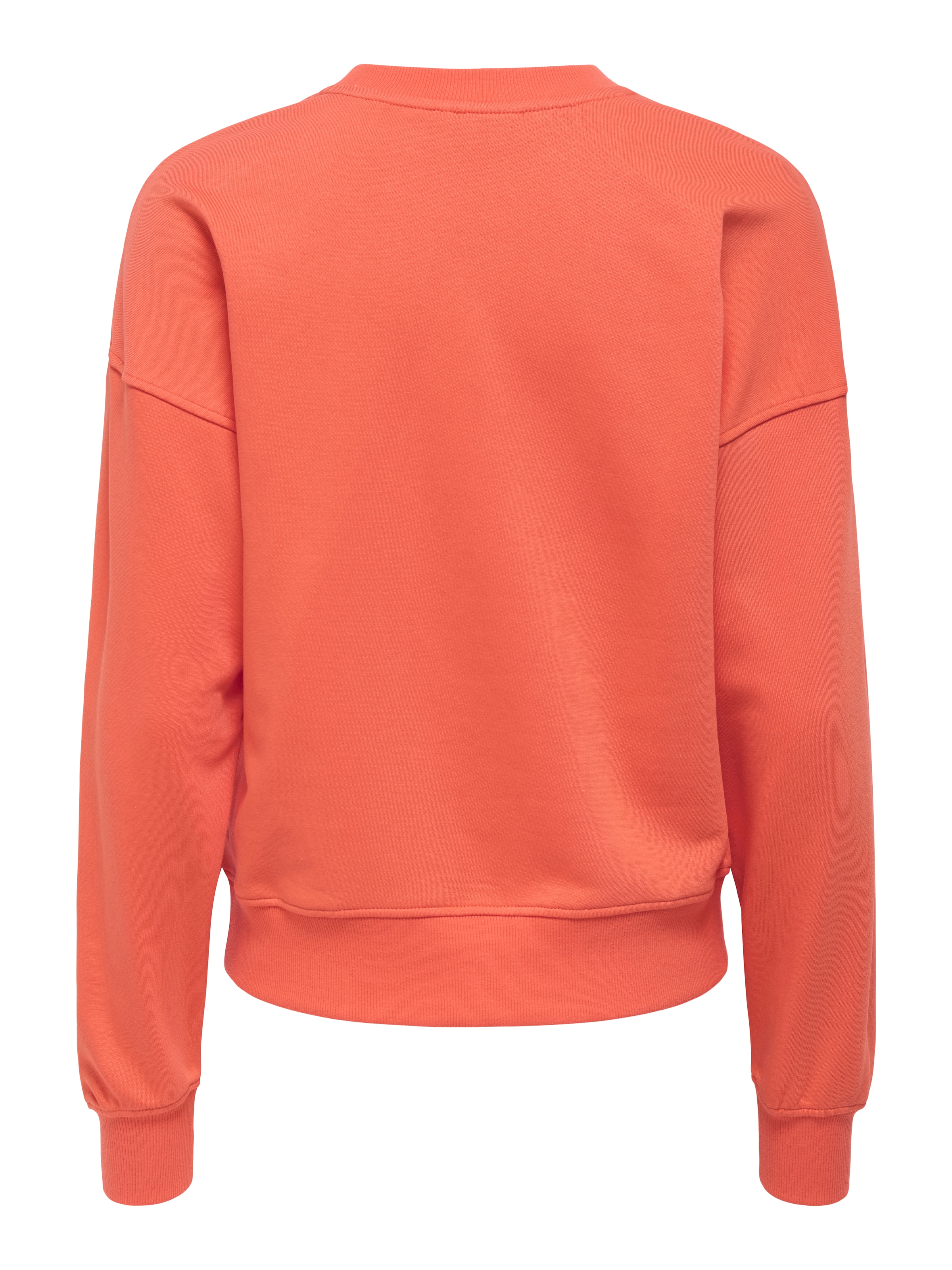 ONLY Sweatshirt »ONLPHILEA L/S FRUIT O-NECK UB SWT«