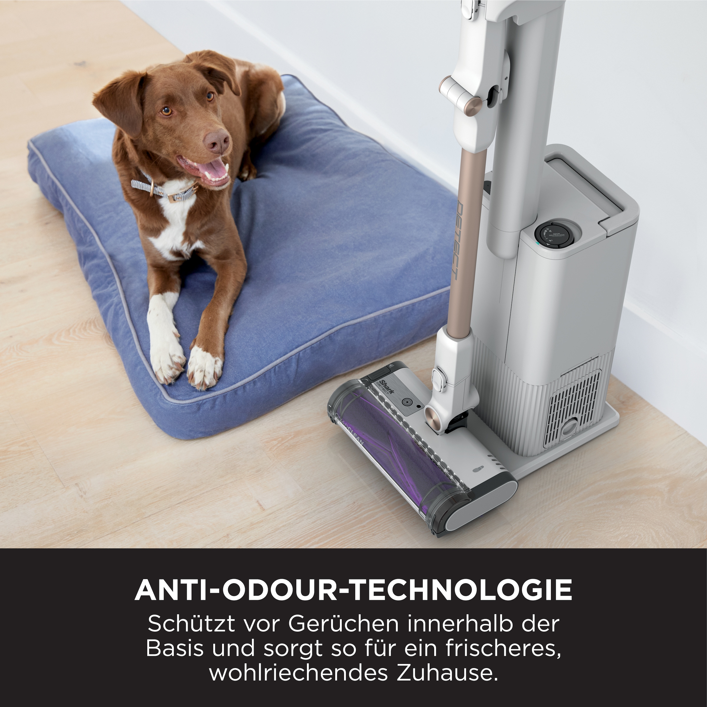 Shark Akku-Bodenstaubsauger »Detect Clean & Empty IW3612EU«