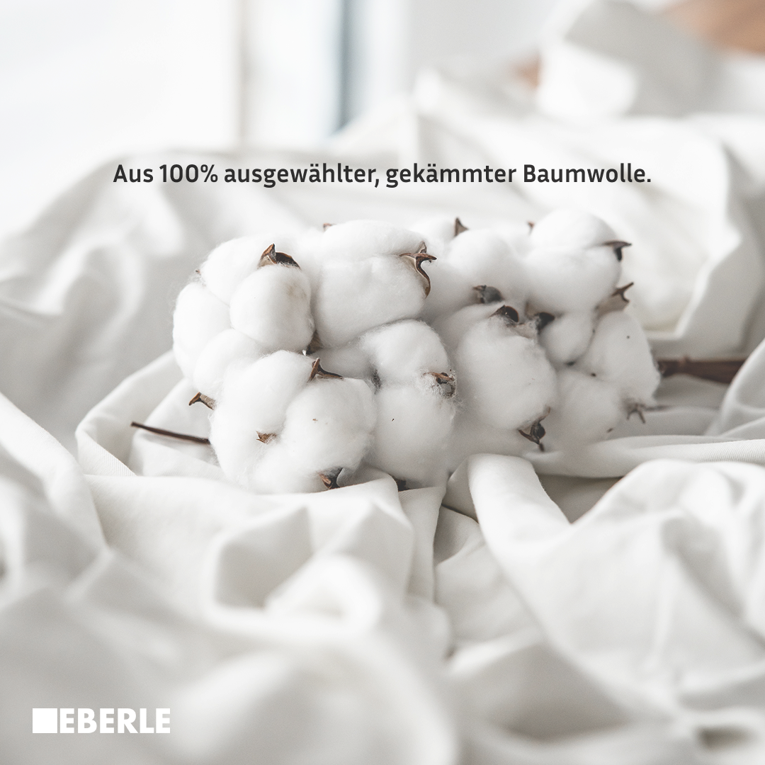 bellana Spannbettlaken "Mako-Jersey exclusiv in Gr. 90x200, 140x200 oder 18 günstig online kaufen