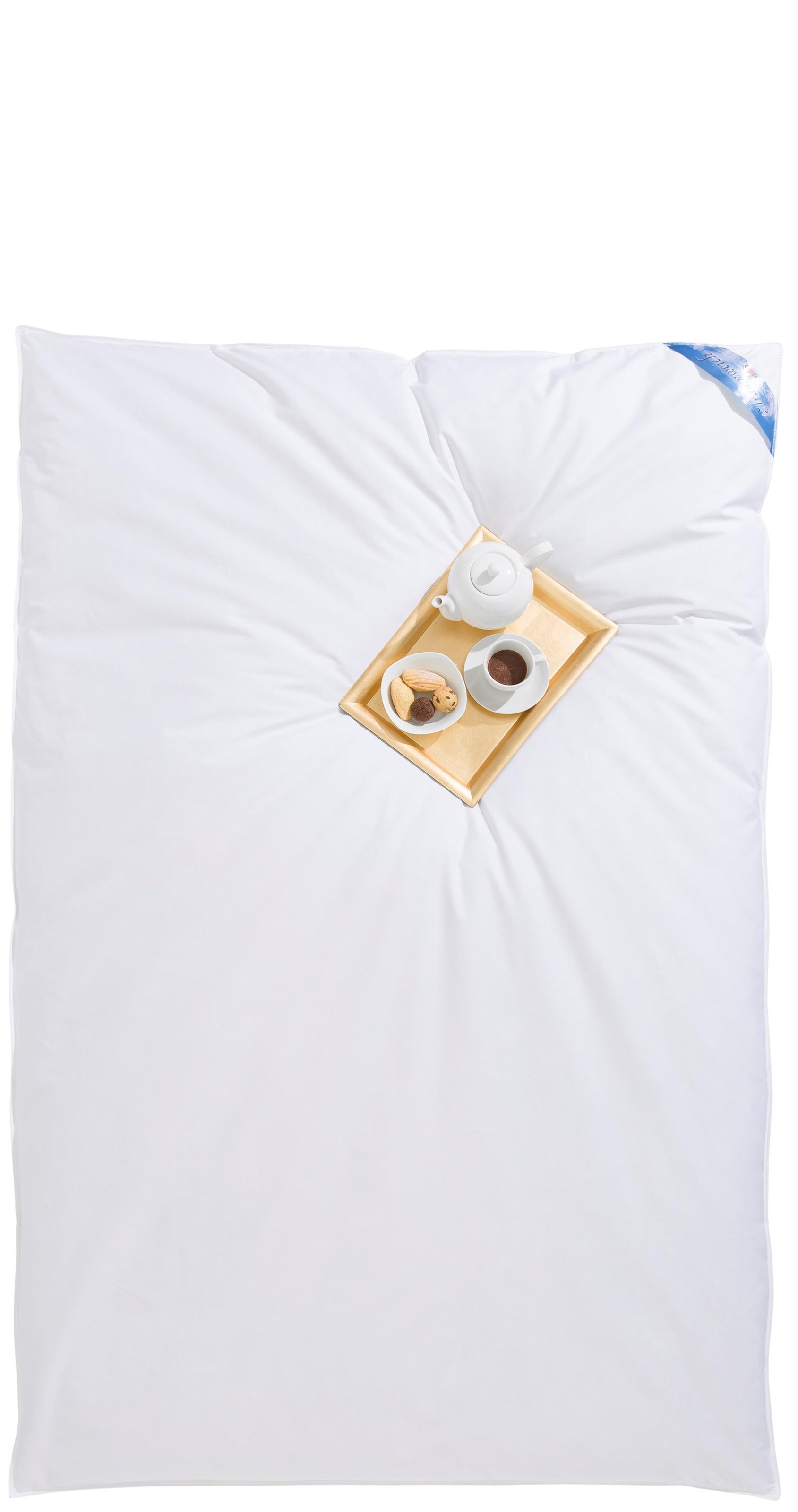 RIBECO Federbettdecke "Leon, Ballonbettdecke Leon, 135x200 & 155x220 cm" ex günstig online kaufen