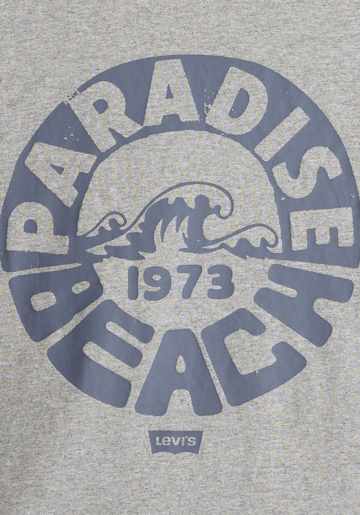 Levi's® T-Shirt »RELAXED FIT TEE«, mit großem Frontprint