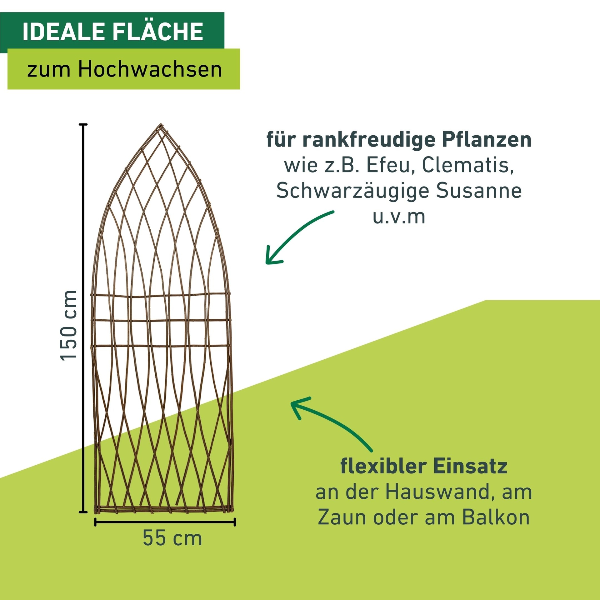 Windhager Rankgitter »aus Weide, Rankhilfe für Kletterpflanze, Natürliche Rankhilfe« Natürliche Rankhilfe, 55x150cm, Spitzbogen