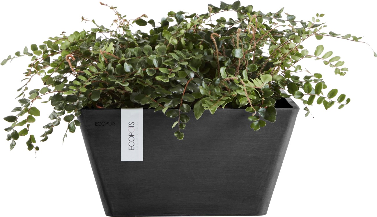 ECOPOTS Blumentopf »BERLIN Dark Grey«, BxTxH: 41x41x18 cm