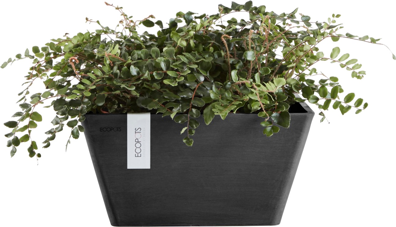 Ecopots Pflanzschale Berlin Quadratisch Dunkelgrau 41 cm x 18 cm günstig online kaufen