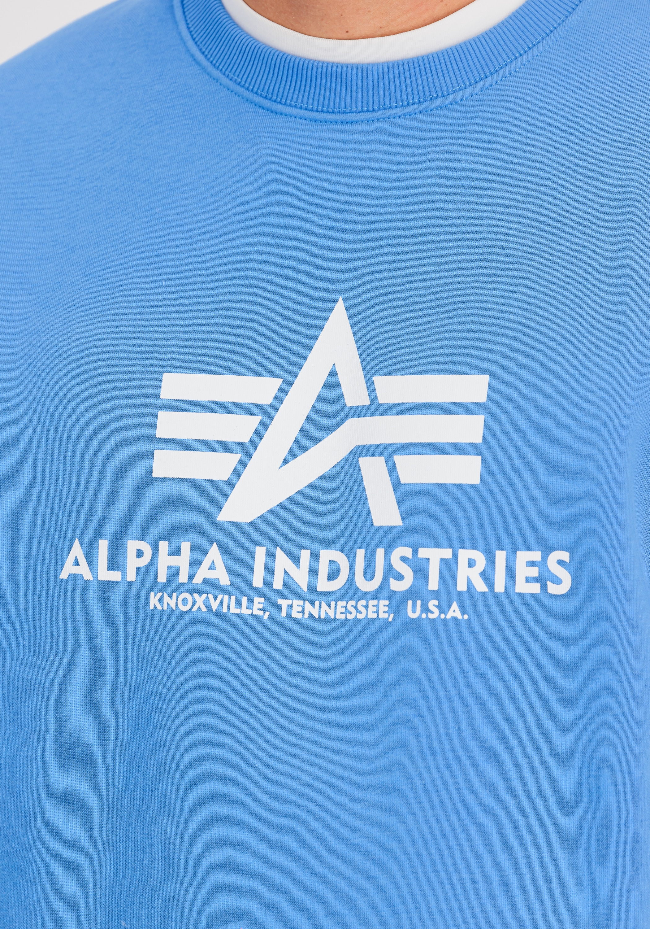 Alpha Industries Sweater »Alpha Industries Men - Sweatshirts Basic Sweater«