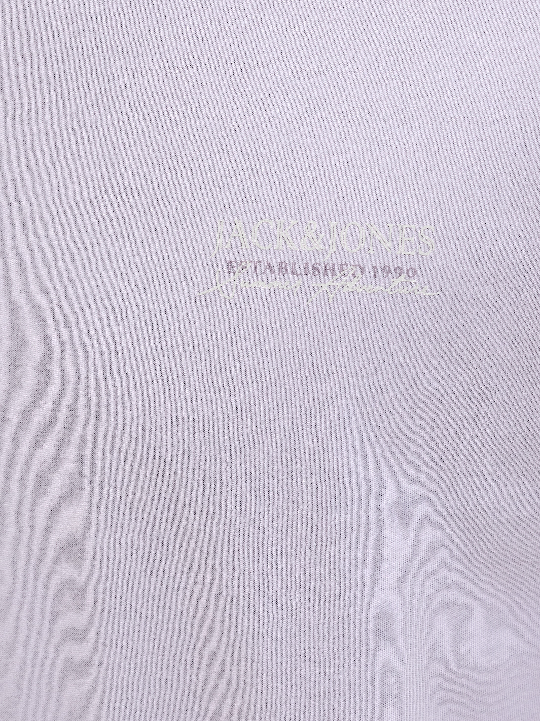Jack & Jones Rundhalsshirt »JJSUMMER VIBES TEE SS CREW NECK LN«