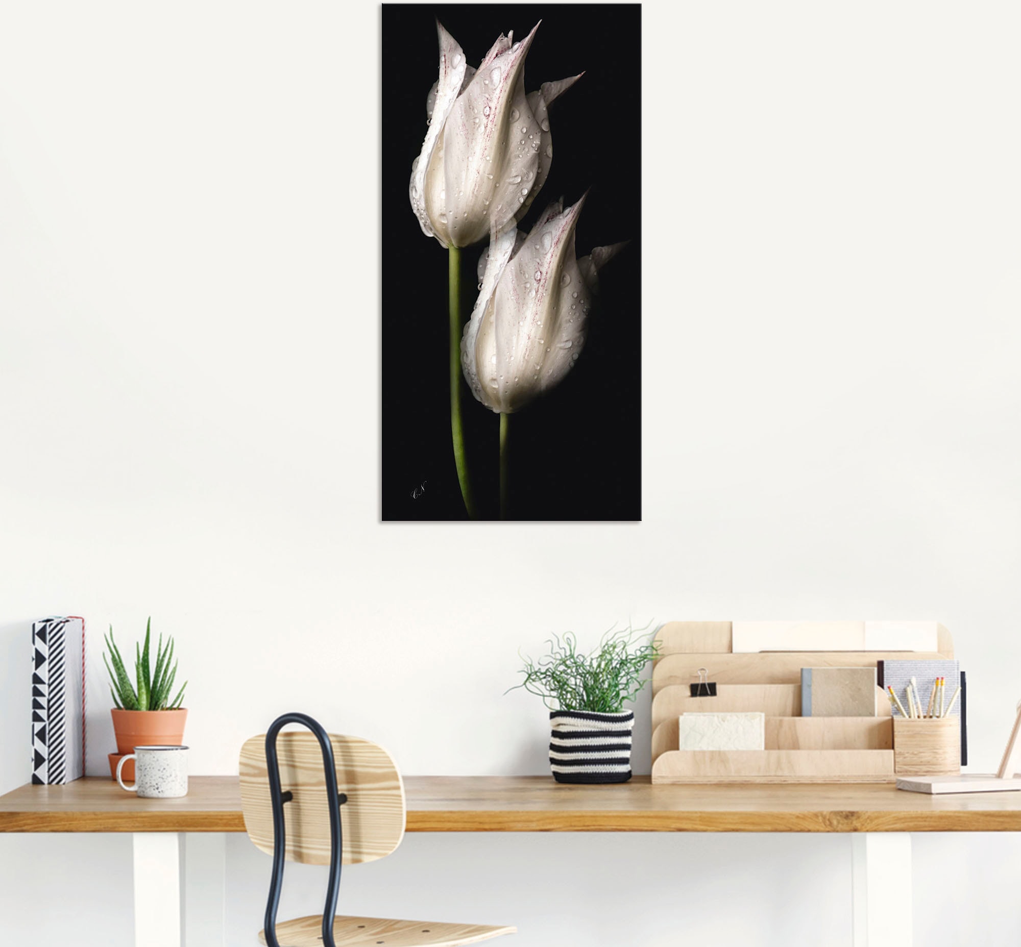 Artland Wandbild »Weiße Tulpen in der Nacht«, Blumenbilder, (1 St.), als Alubild, Outdoorbild, Leinwandbild, Poster, Wandaufkleber