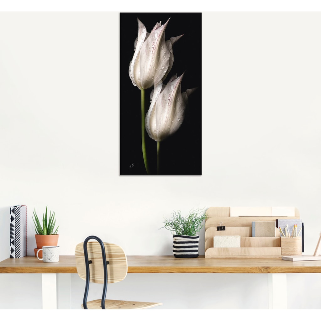 Artland Wandbild »Weiße Tulpen in der Nacht«, Blumenbilder, (1 St.)