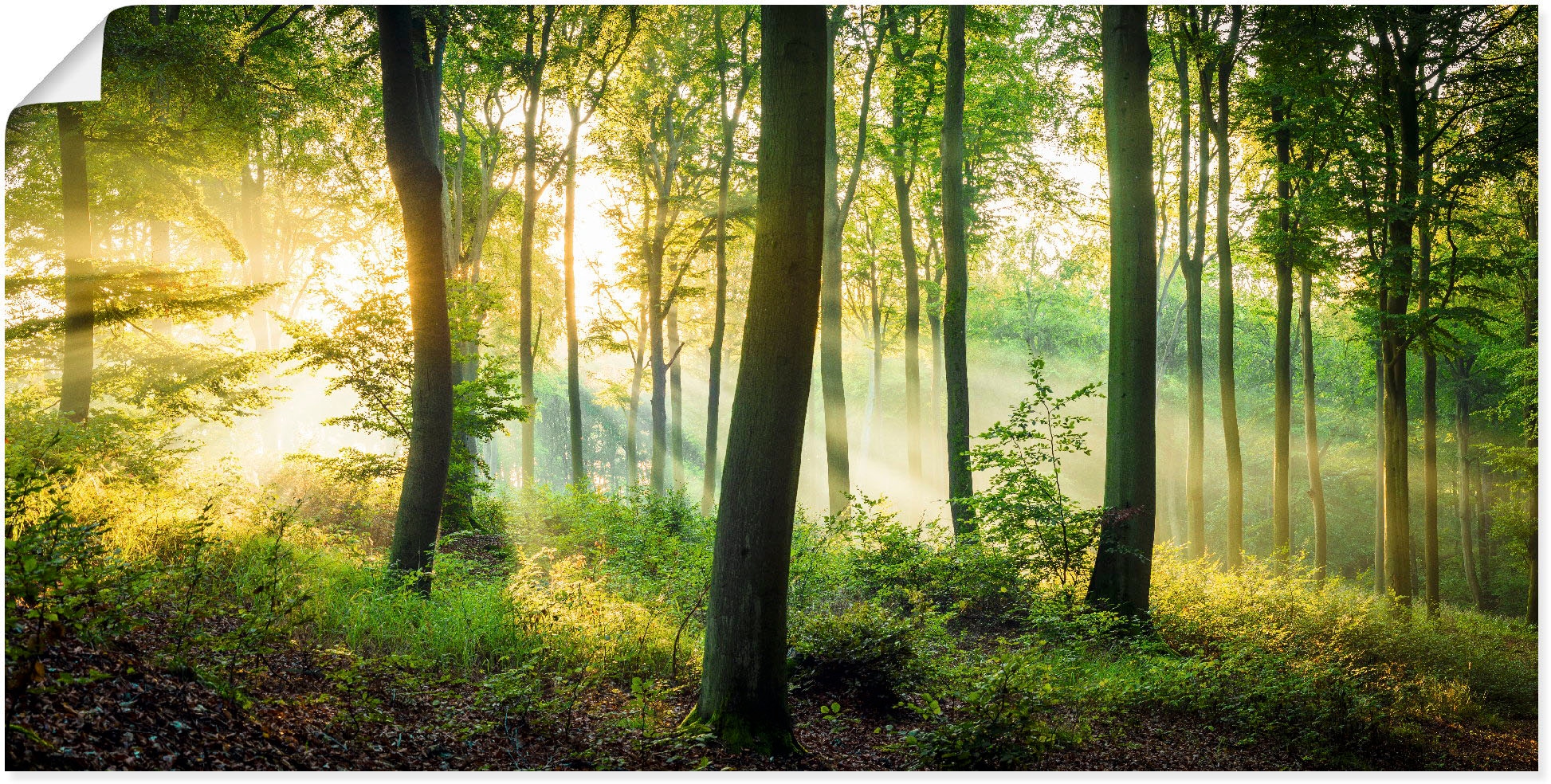 Artland Wandbild "Herbst im Wald II" Waldbilder 1 Stk. tlg. als Alubild, Leinwandbild, Poster in verschied. Größen