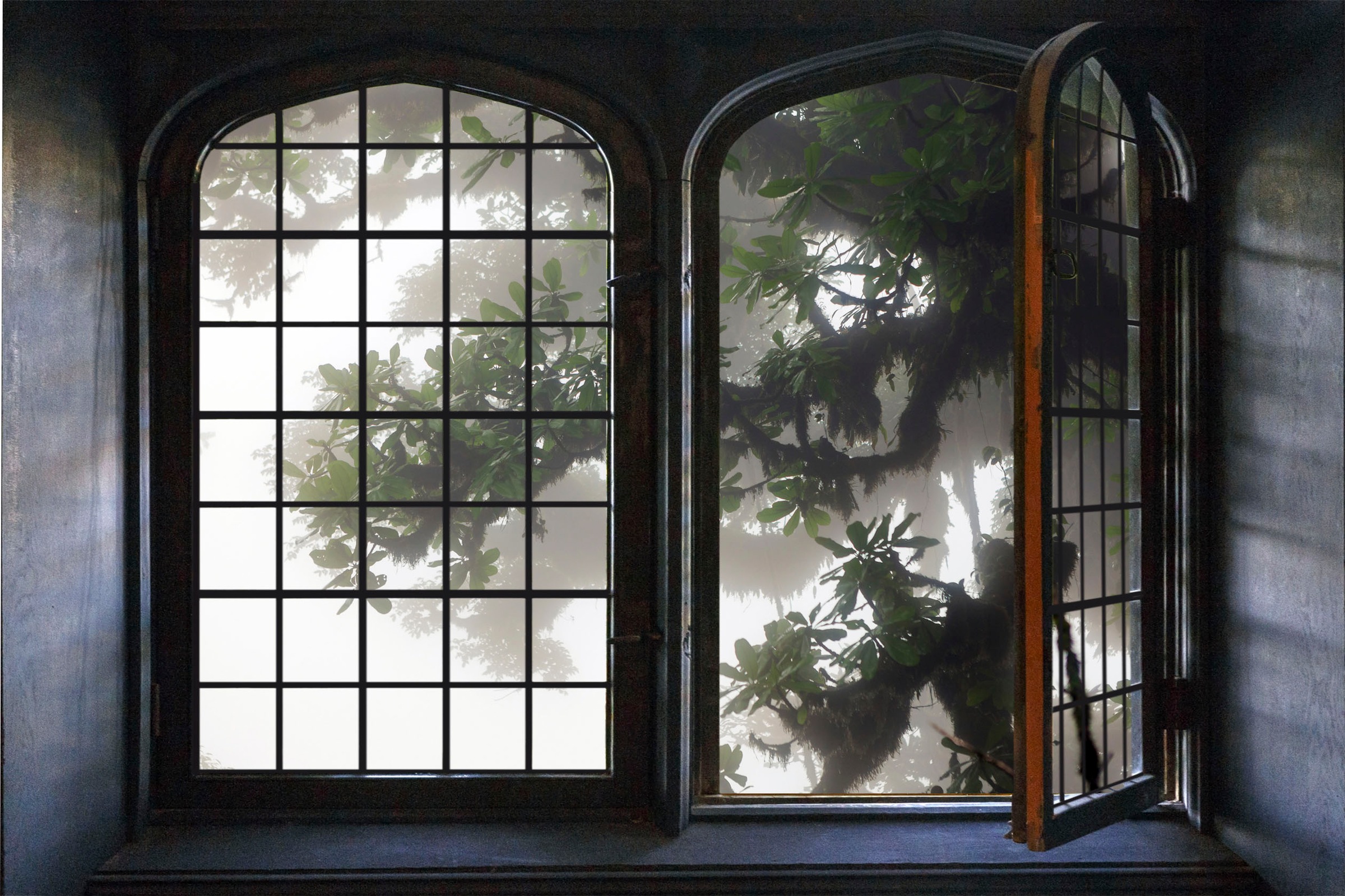 queence Wandsticker »Urwald«, Wandsticker, Wandbild, selbstklebend, 3D, Fenster