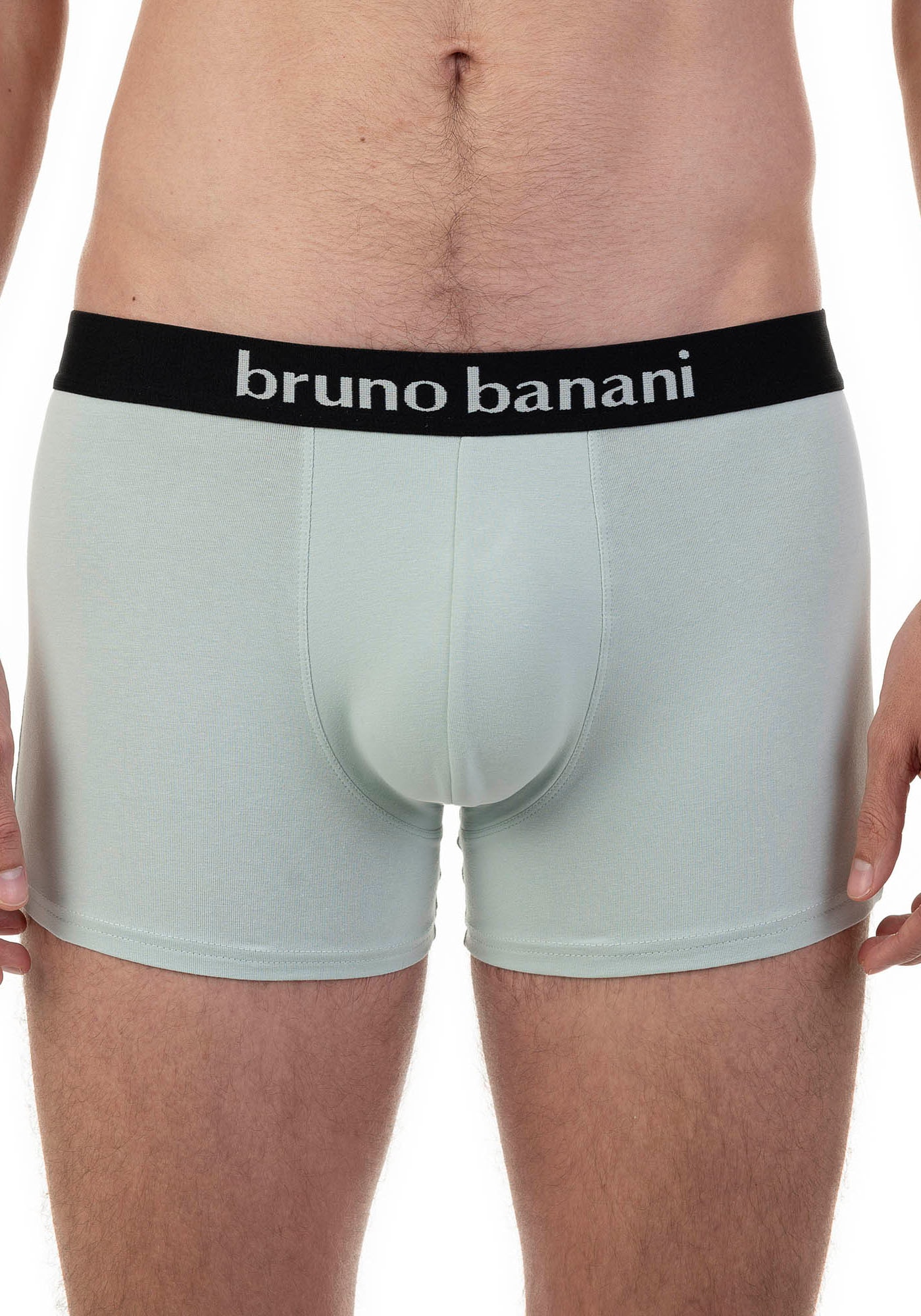 Bruno Banani Boxer, (2er Pack), mit kontrastreichem Logobund günstig online kaufen