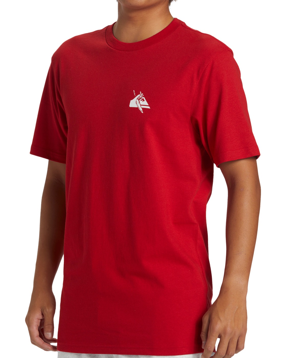 Quiksilver T-Shirt »QS Petroglyph«