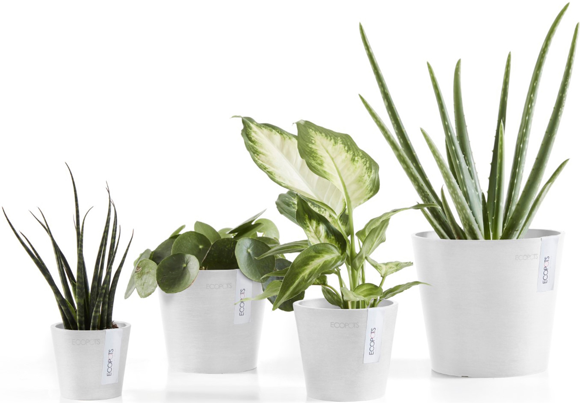 ECOPOTS Blumentopf »Amsterdam Mini 17 Weiß«, für den Innenbereich
