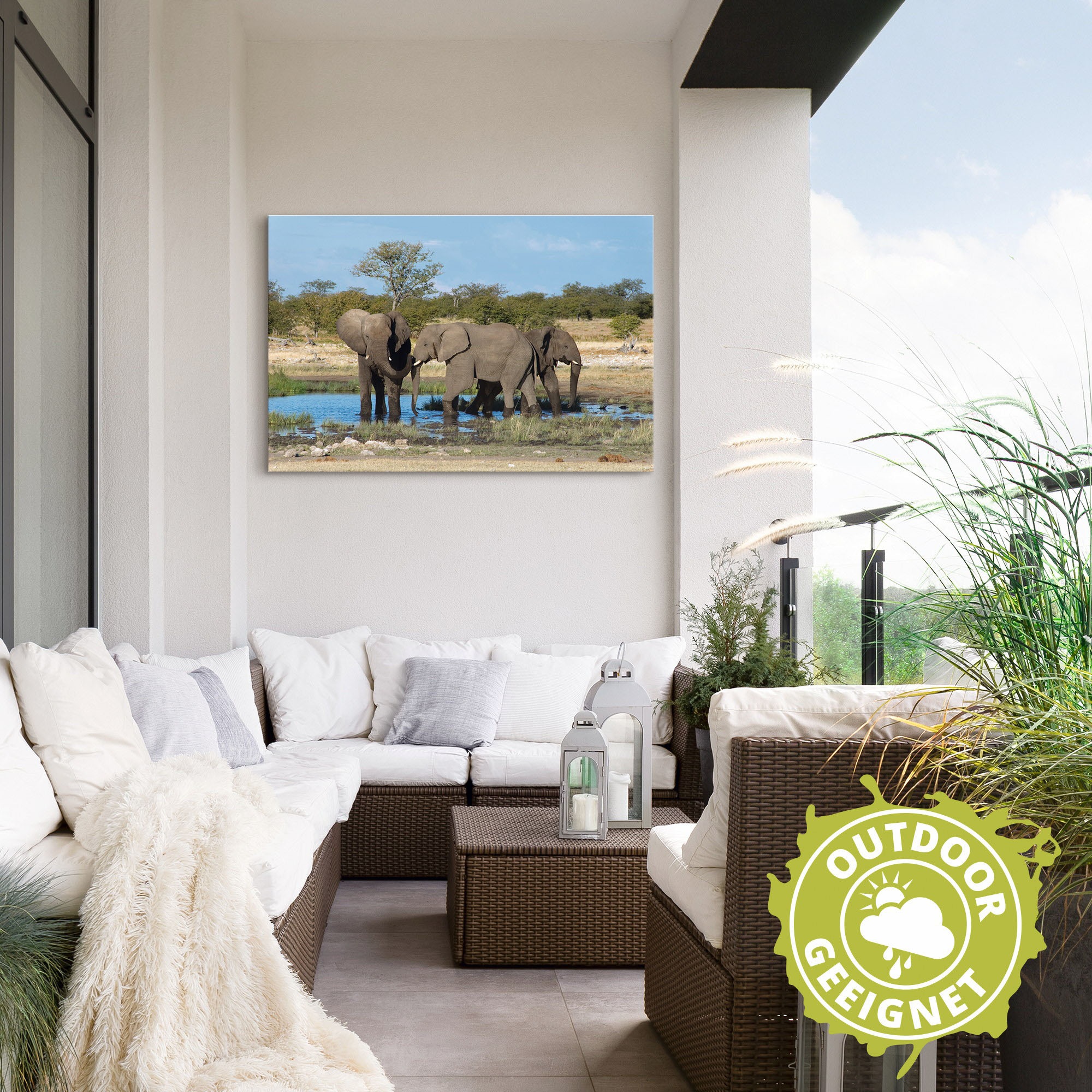 Artland Wandbild »Afrikanischer Elefant EtoshaNationalpark«, Elefanten Bilder, (1 St.), als Leinwandbild, Wandaufkleber in verschied. Größen