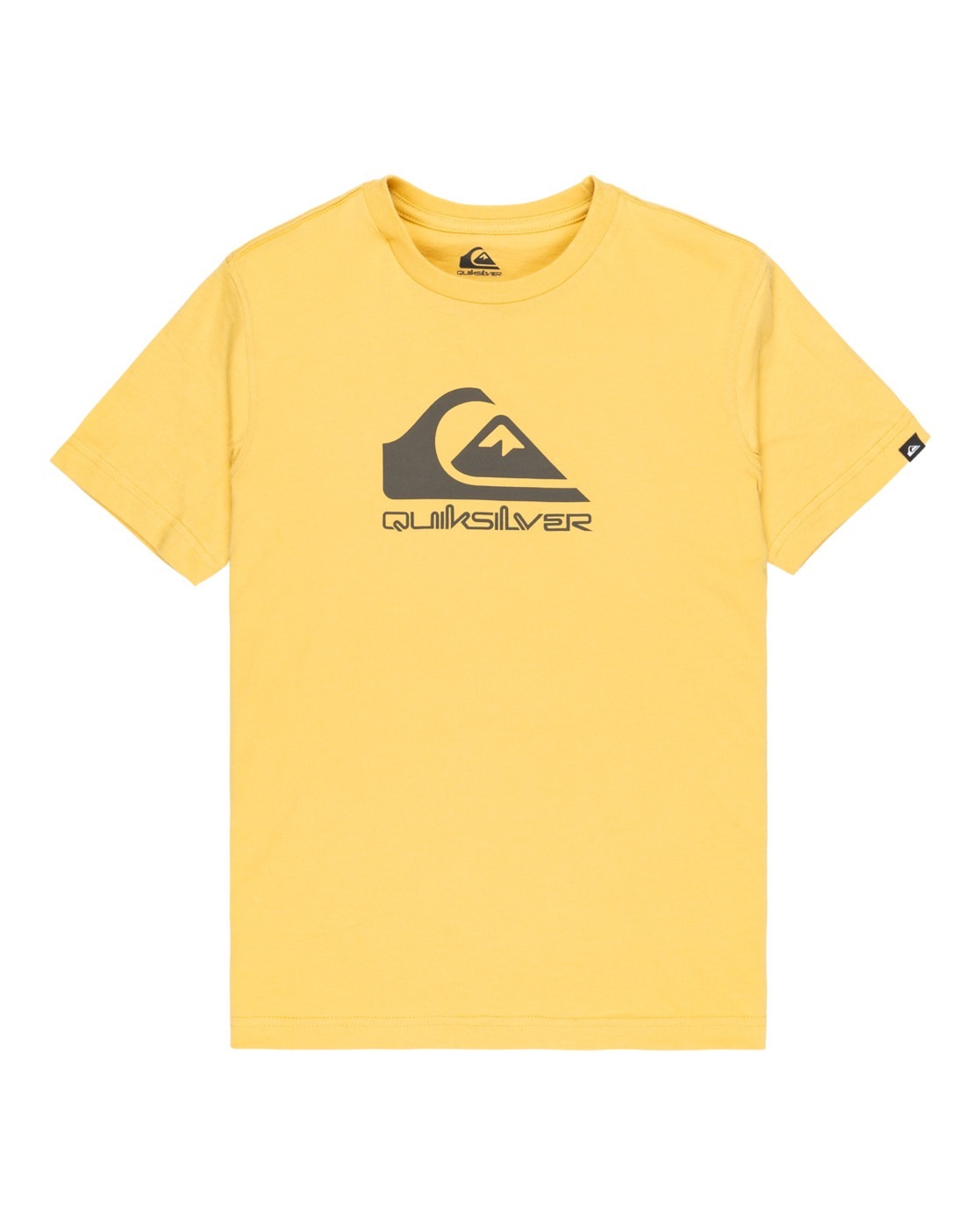 Quiksilver T-Shirt »Ev Comp Logo«