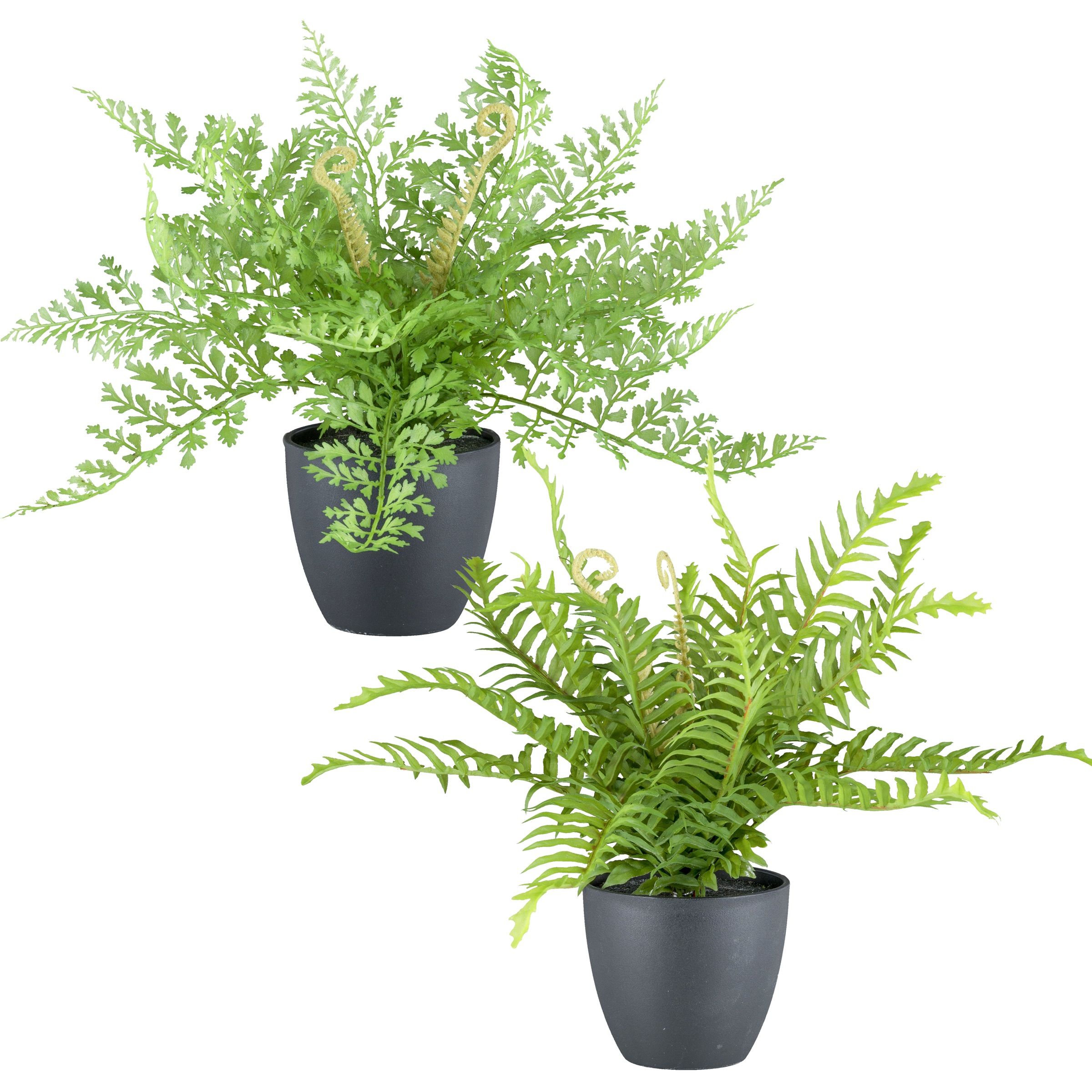 Creativ green Kunstpflanze »Farn« su naturgtreuen Fa...