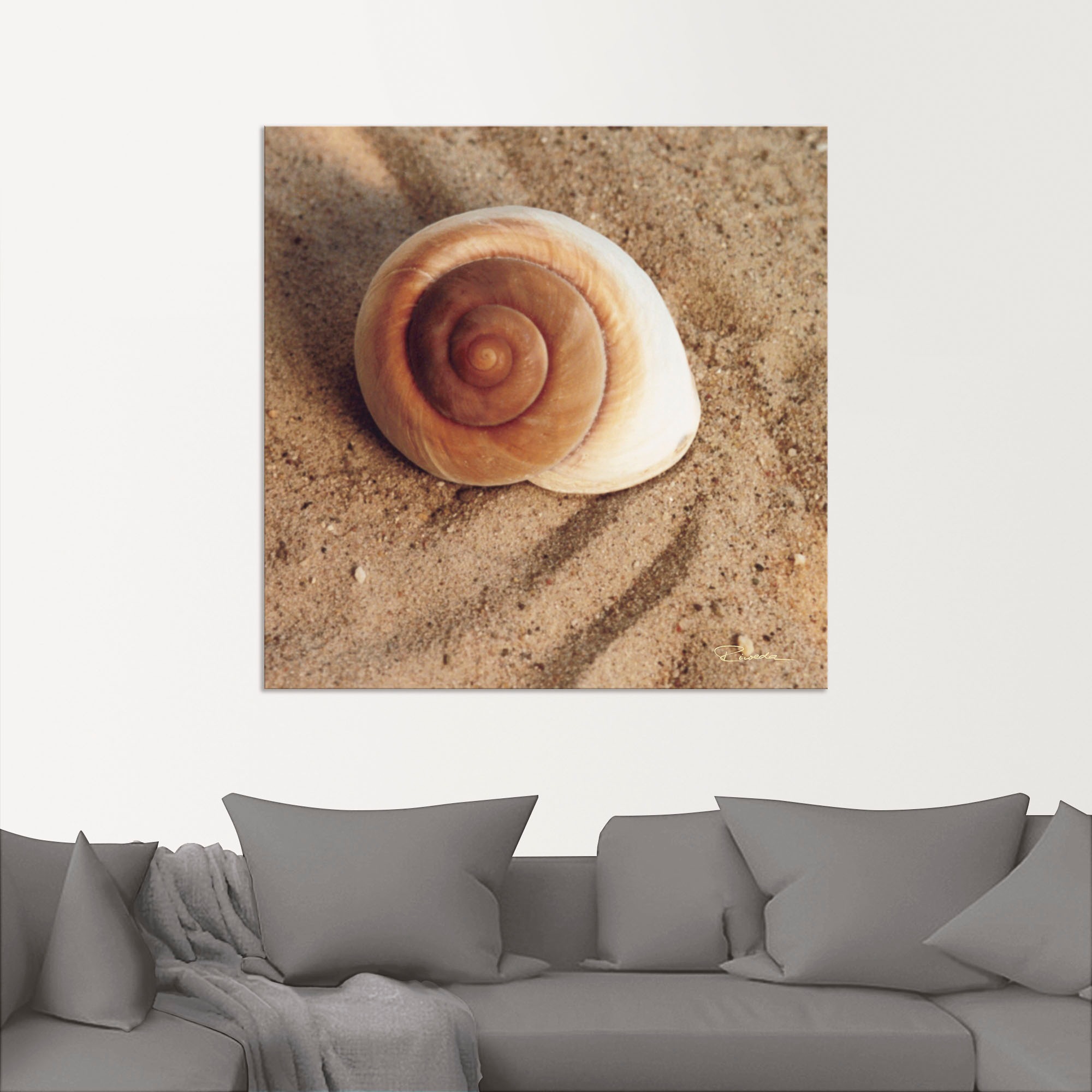 Artland Wandbild "Muschel", Wassertiere, (1 St.), als Alubild, Outdoorbild, günstig online kaufen